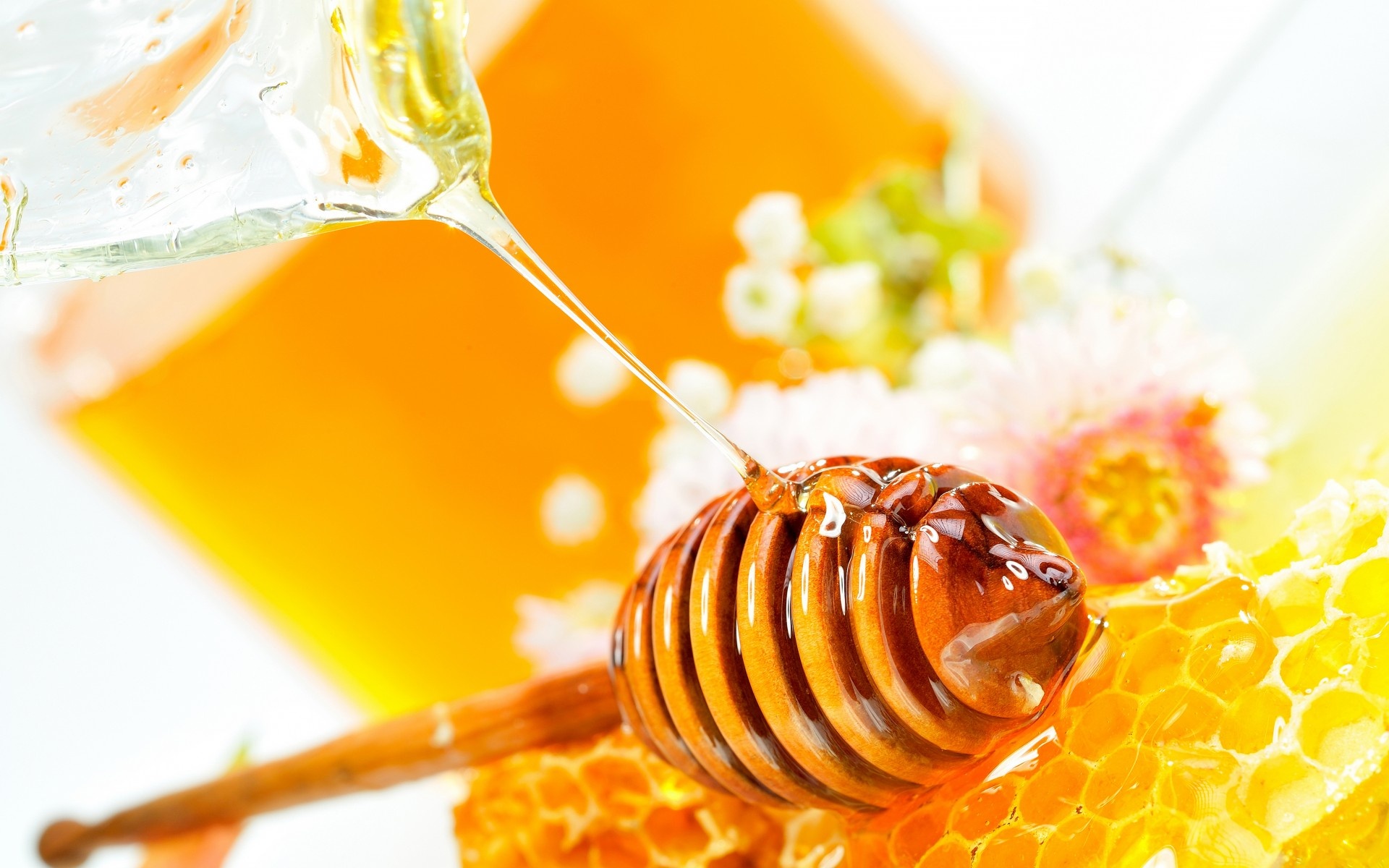 Honey: A natural product formed from the nectar of flowers by honeybees. 1920x1200 HD Background.