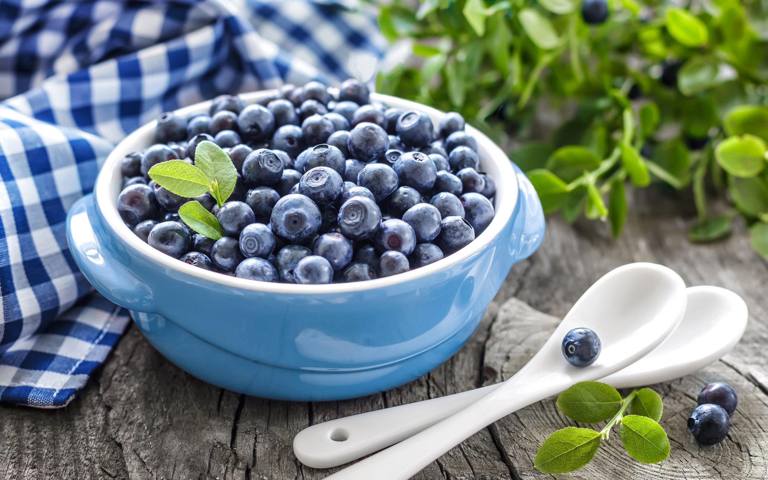 Fresh blueberries, Colorful and nutritious, Fruity wallpaper, Superfood delight, 2560x1600 HD Desktop