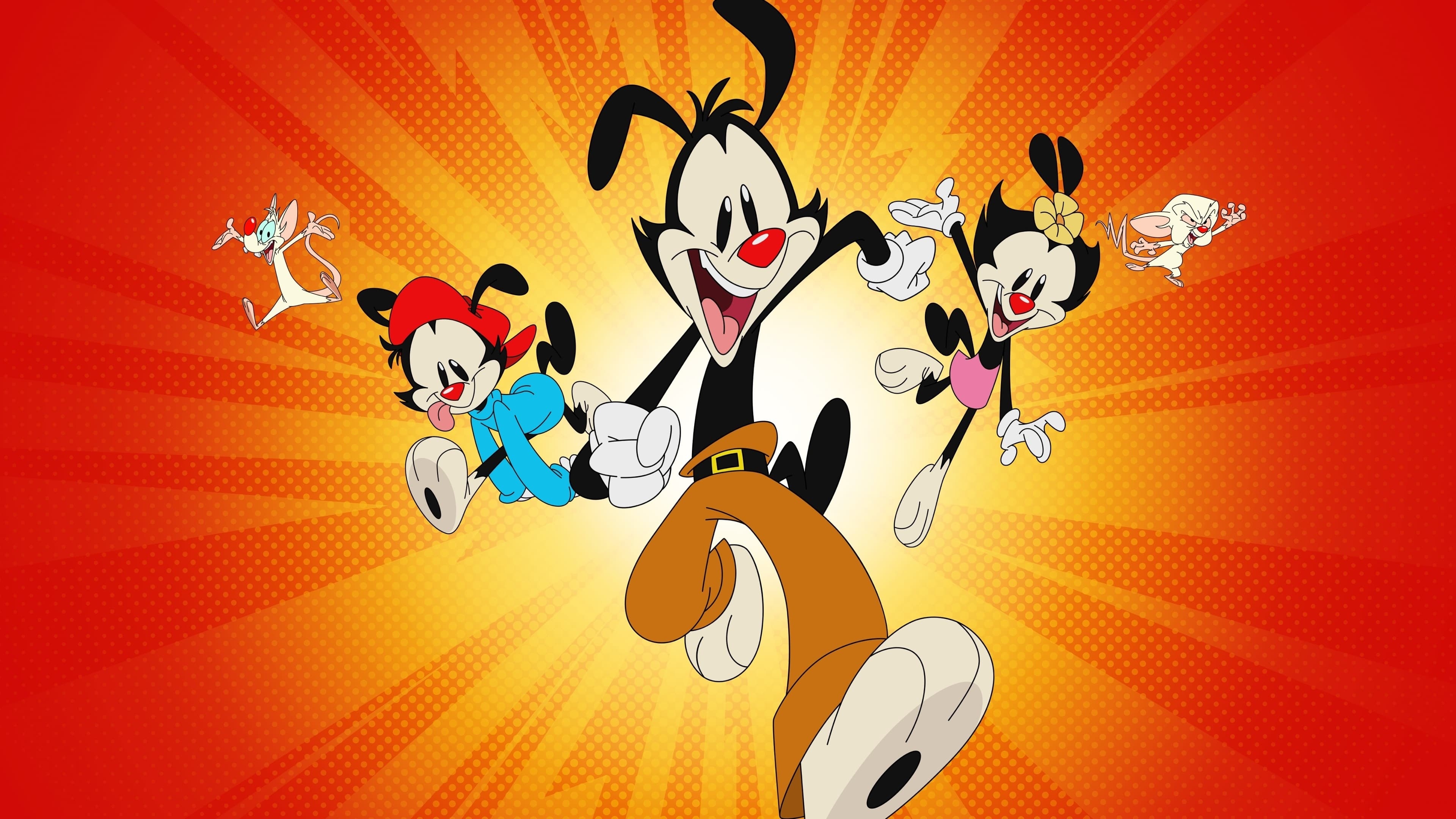 10+ Animaniacs 2020 HD Wallpapers and Backgrounds 3840x2160