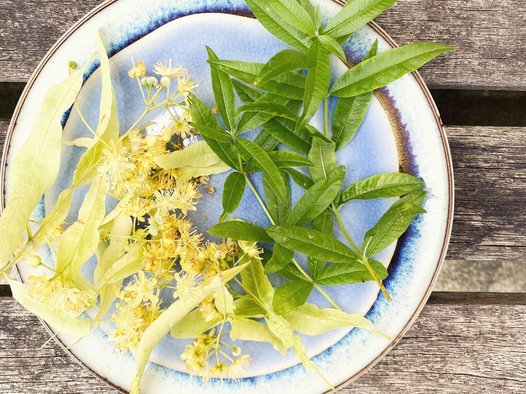 Lemon Verbena, Lime blossom cordial, Refreshing recipe, Zesty twist, 2050x1540 HD Desktop