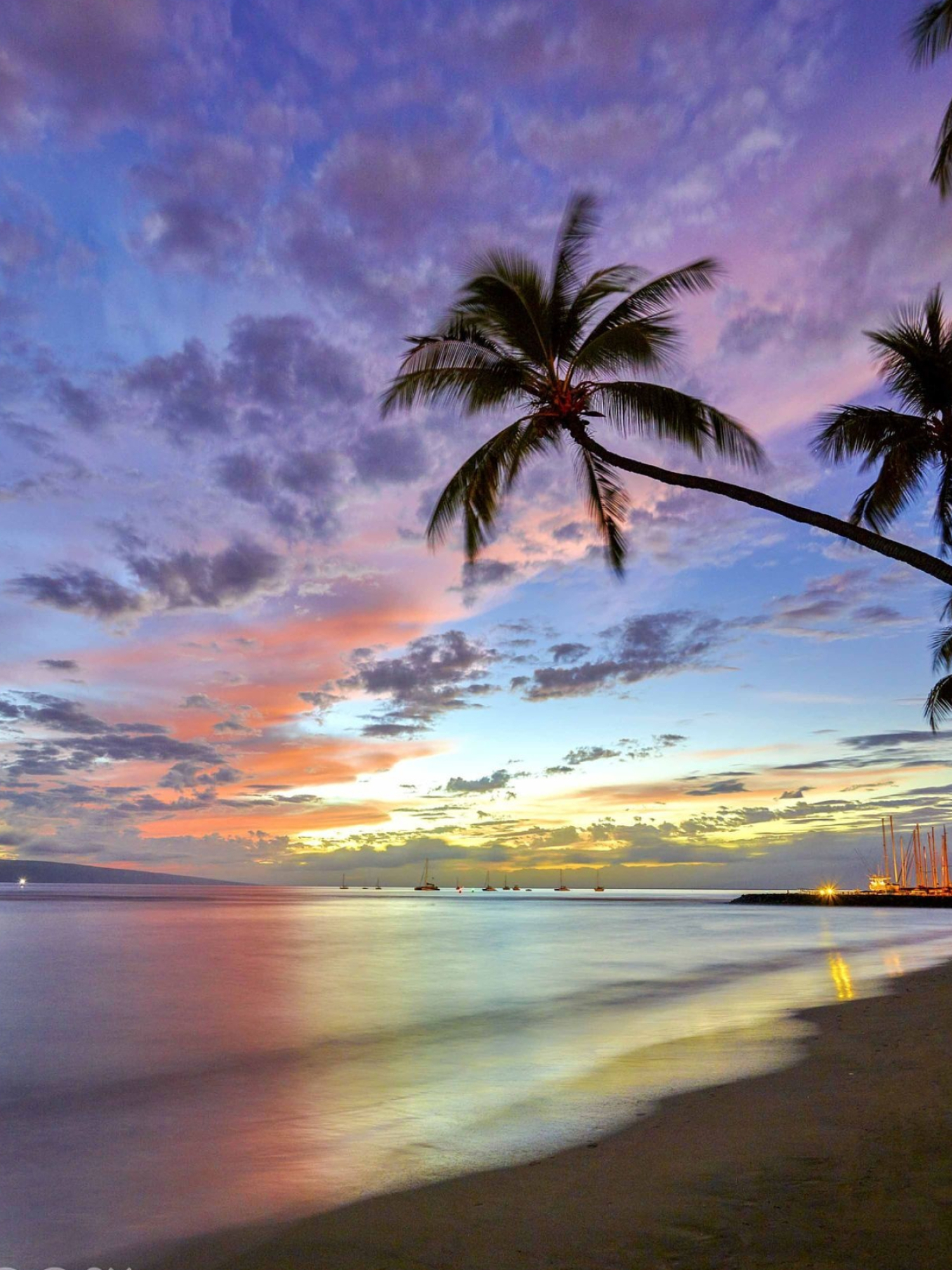 Hawaiian Sunsets, Stunning sunset views, 1500x2000 HD Handy