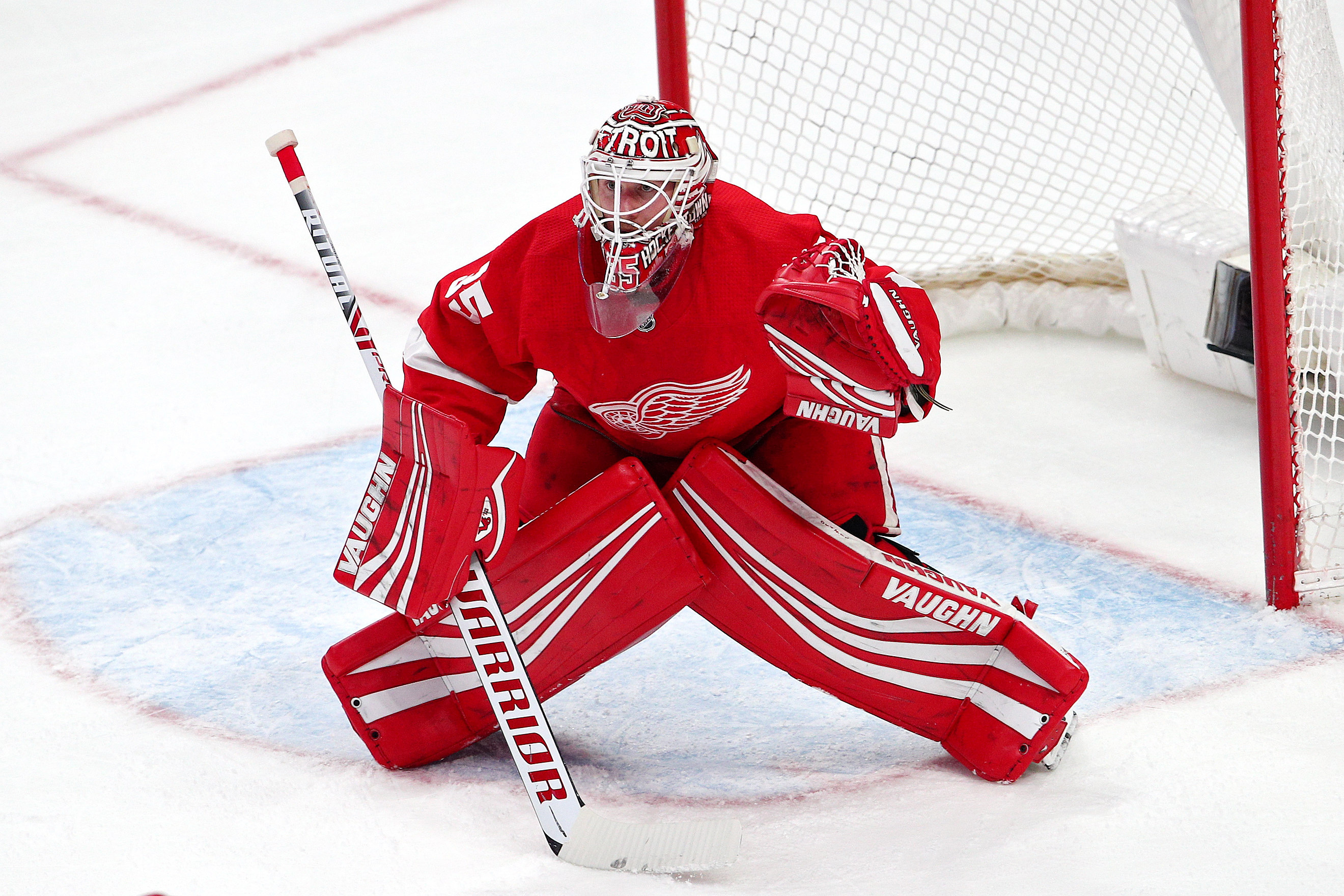 Jimmy Howard, Red Wings, Re-signing focus, Retire speculation, 2640x1760 HD Desktop