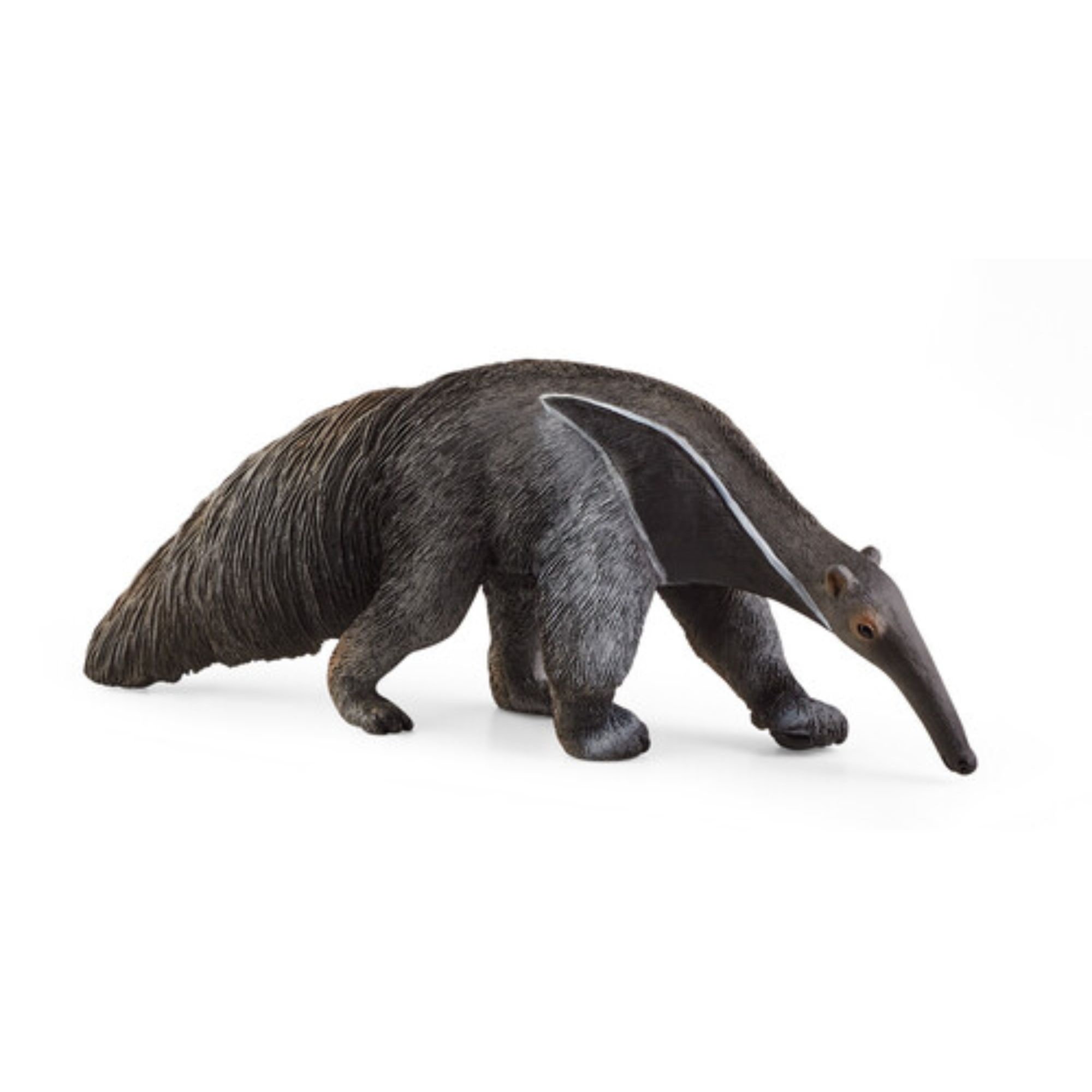Anteater, Fascinating, Mammal, Curiosity, 2000x2000 HD Handy