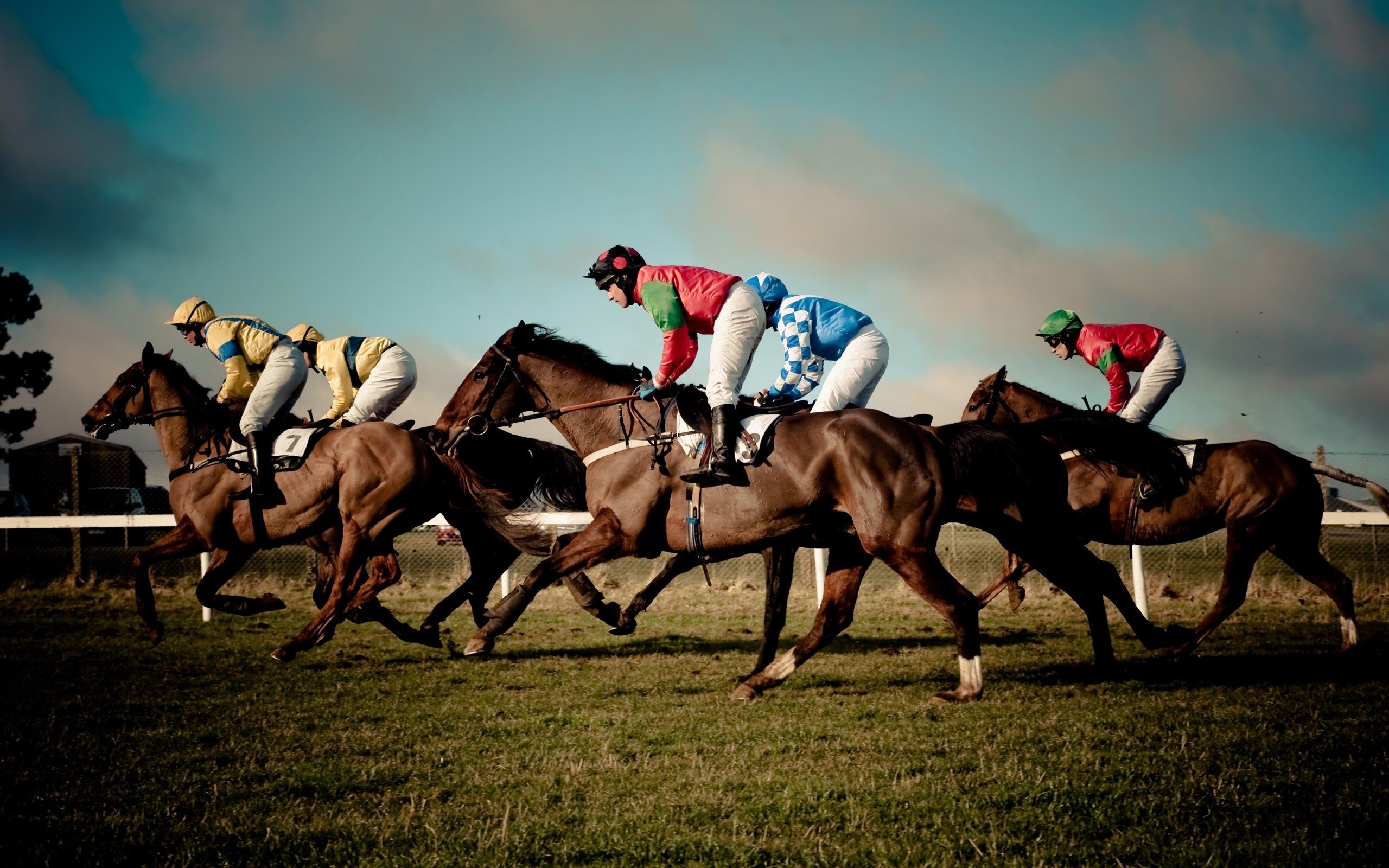 Horse Racing Wallpapers - Top Free Horse Racing Backgrounds 2560x1600