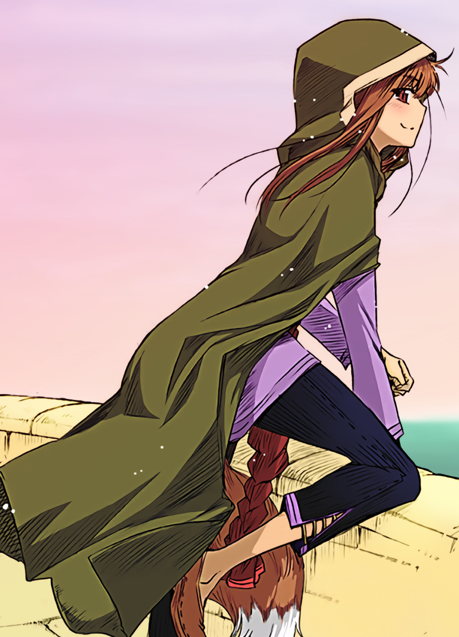 Spice and Wolf (Anime): Five volumes of a spin-off light novel series titled Wolf and Parchment. 1540x2130 HD Background.