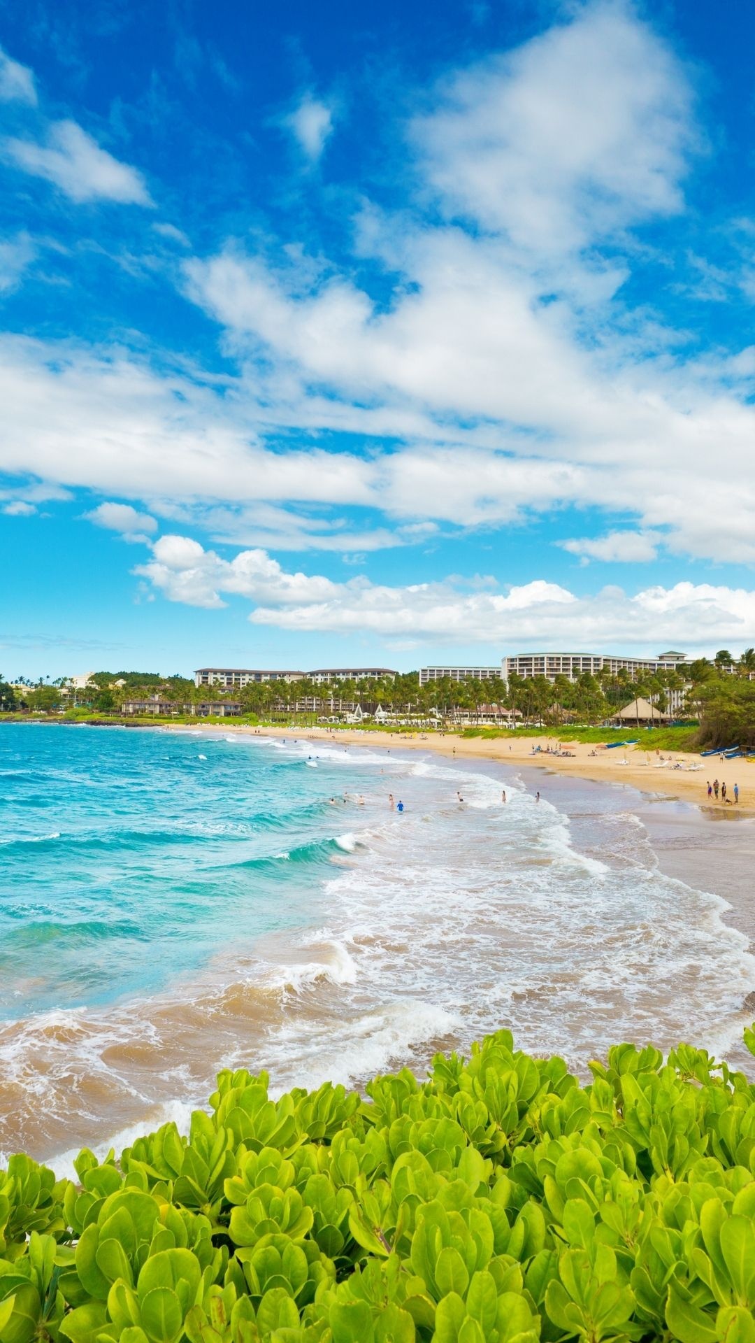 Hawaiian Beaches, Dream vacation, Pristine shores, Tropical bliss, 1080x1920 Full HD Phone