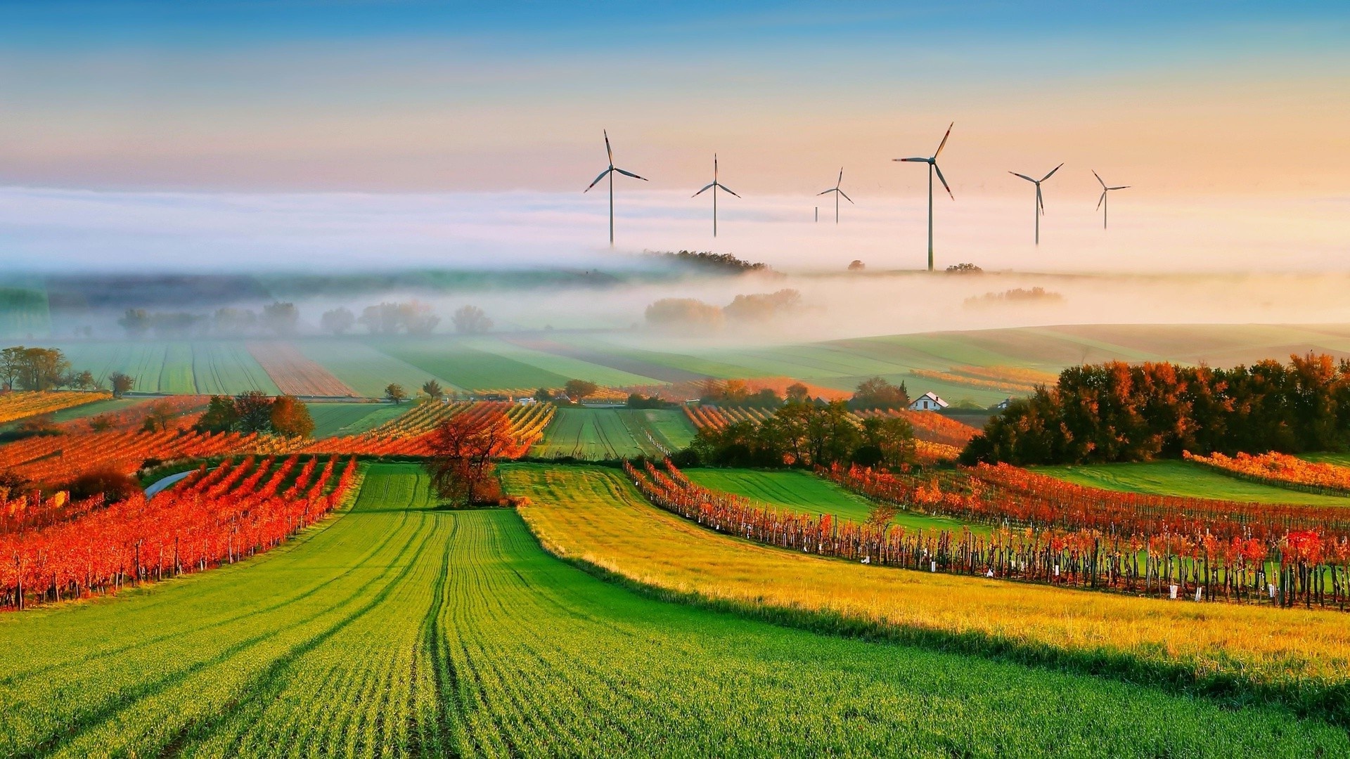 Farm: Agricultural land, Windmills, Natural landscape. 1920x1080 Full HD Background.