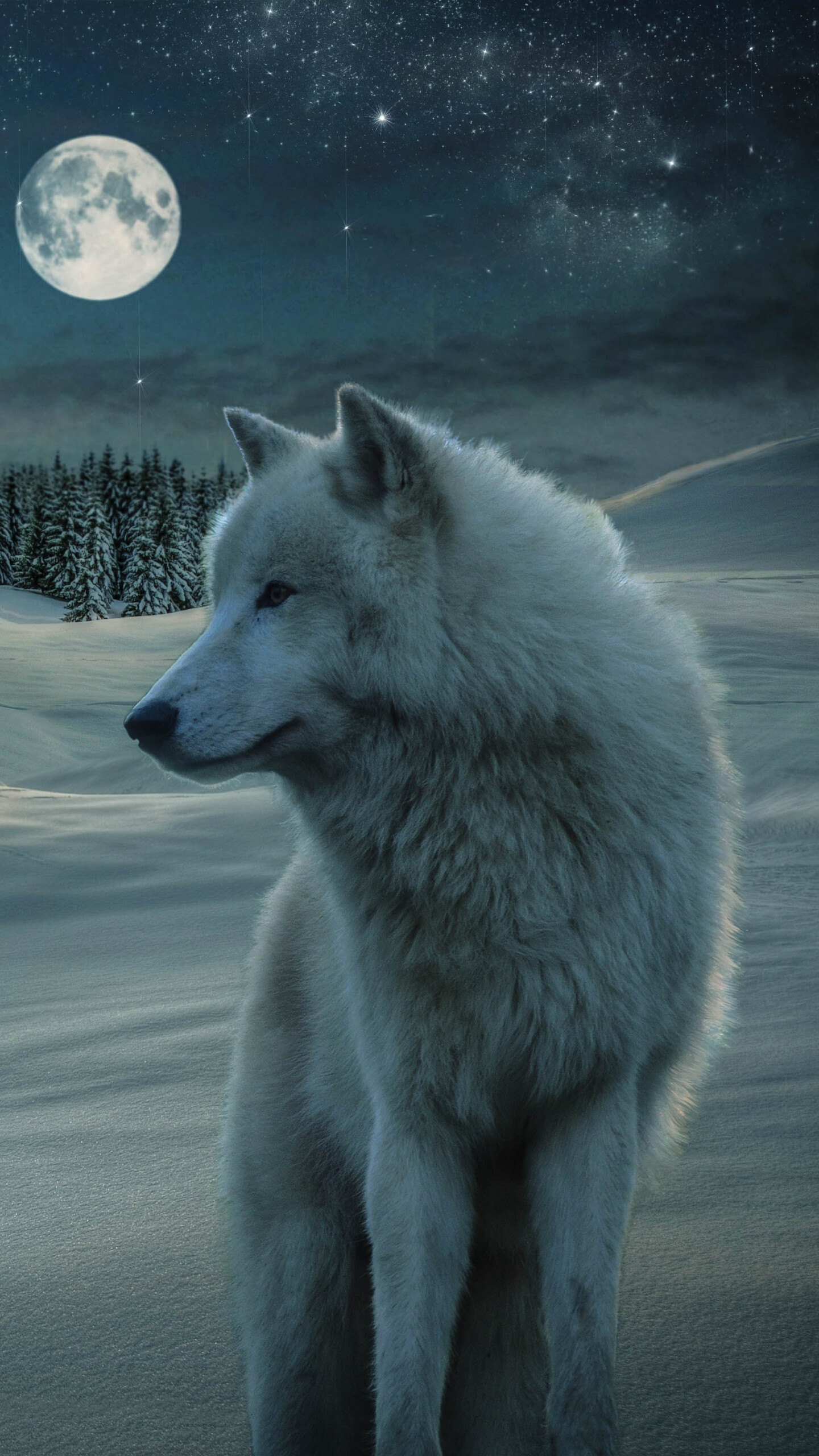 Wolf: Wolves occur across Eurasia and North America. 1440x2560 HD Background.