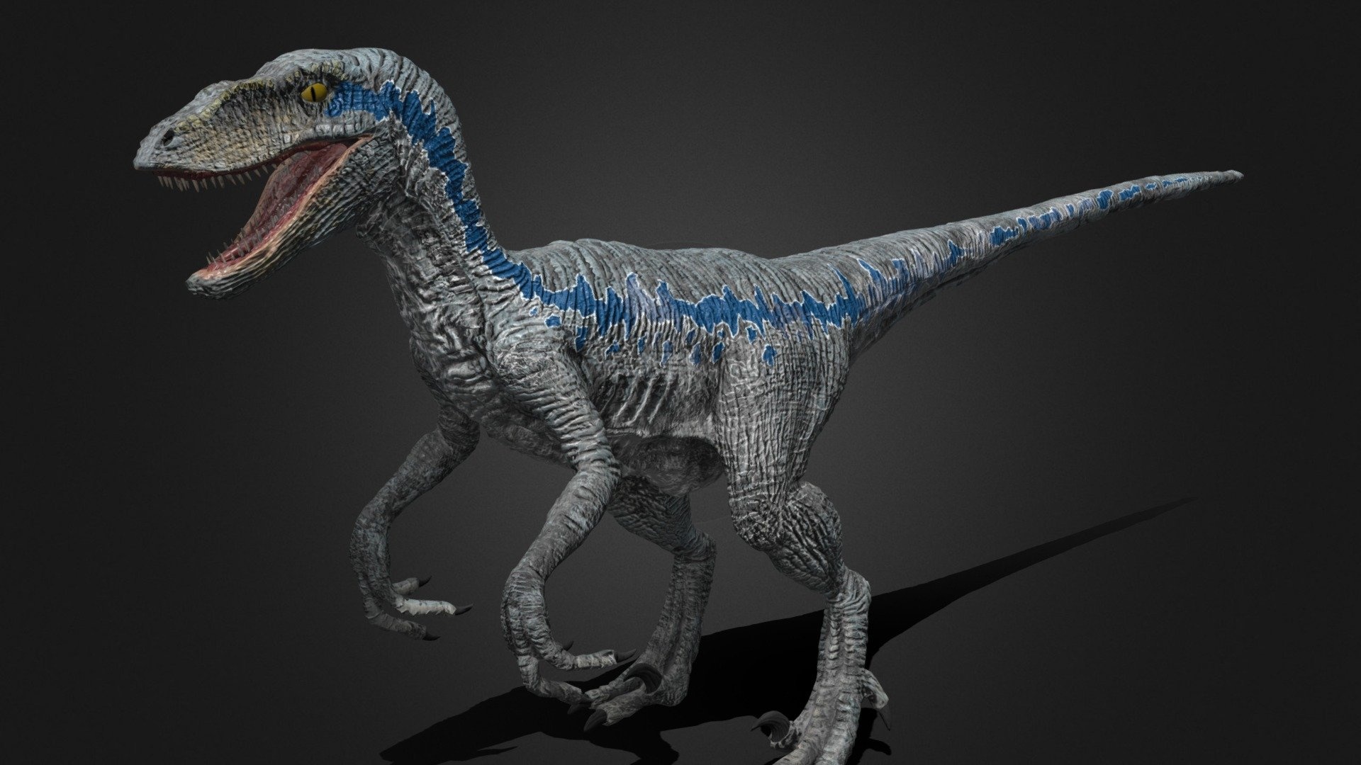 Blue velociraptor, 3D model, Cenker Turhan, Cenkerturhan1, 1920x1080 Full HD Desktop