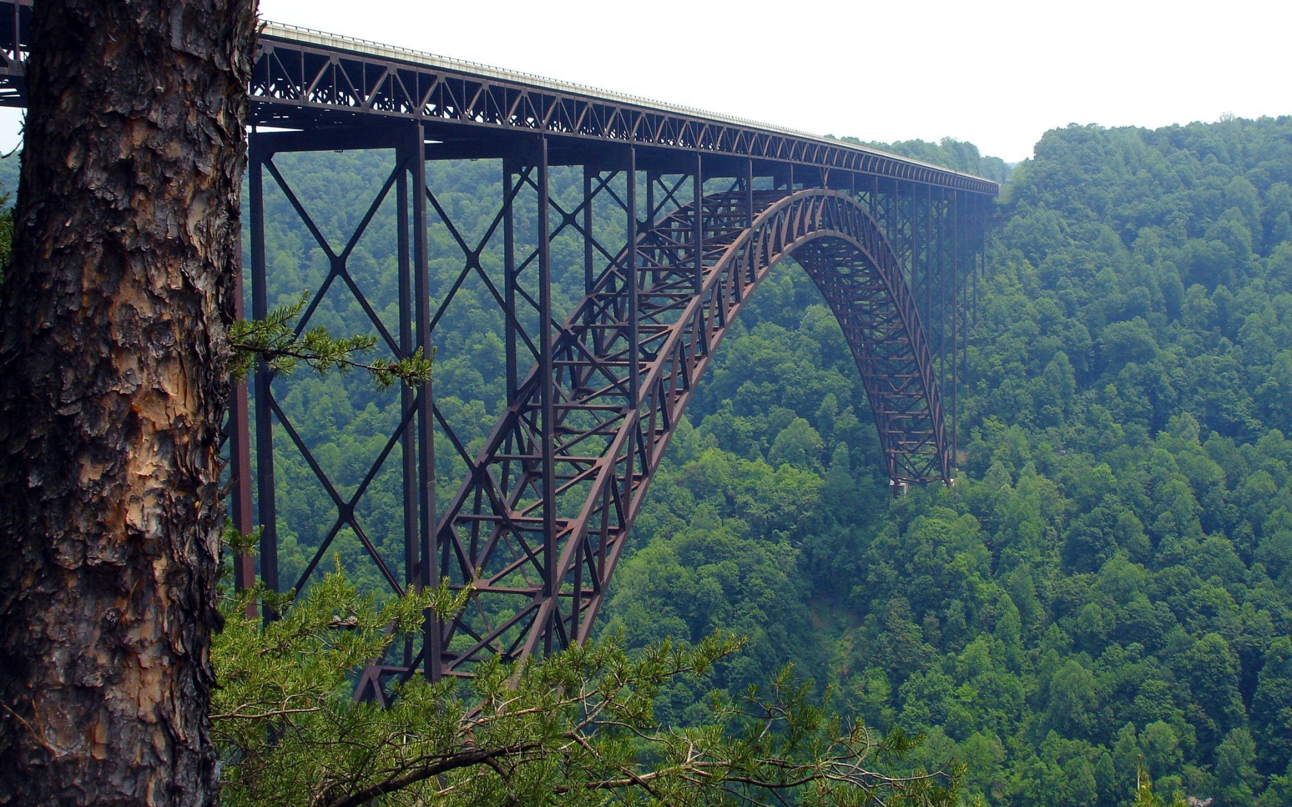 West Virginia: New River Gorge Bridge, Appalachian Mountains, Forest. 2560x1600 HD Background.