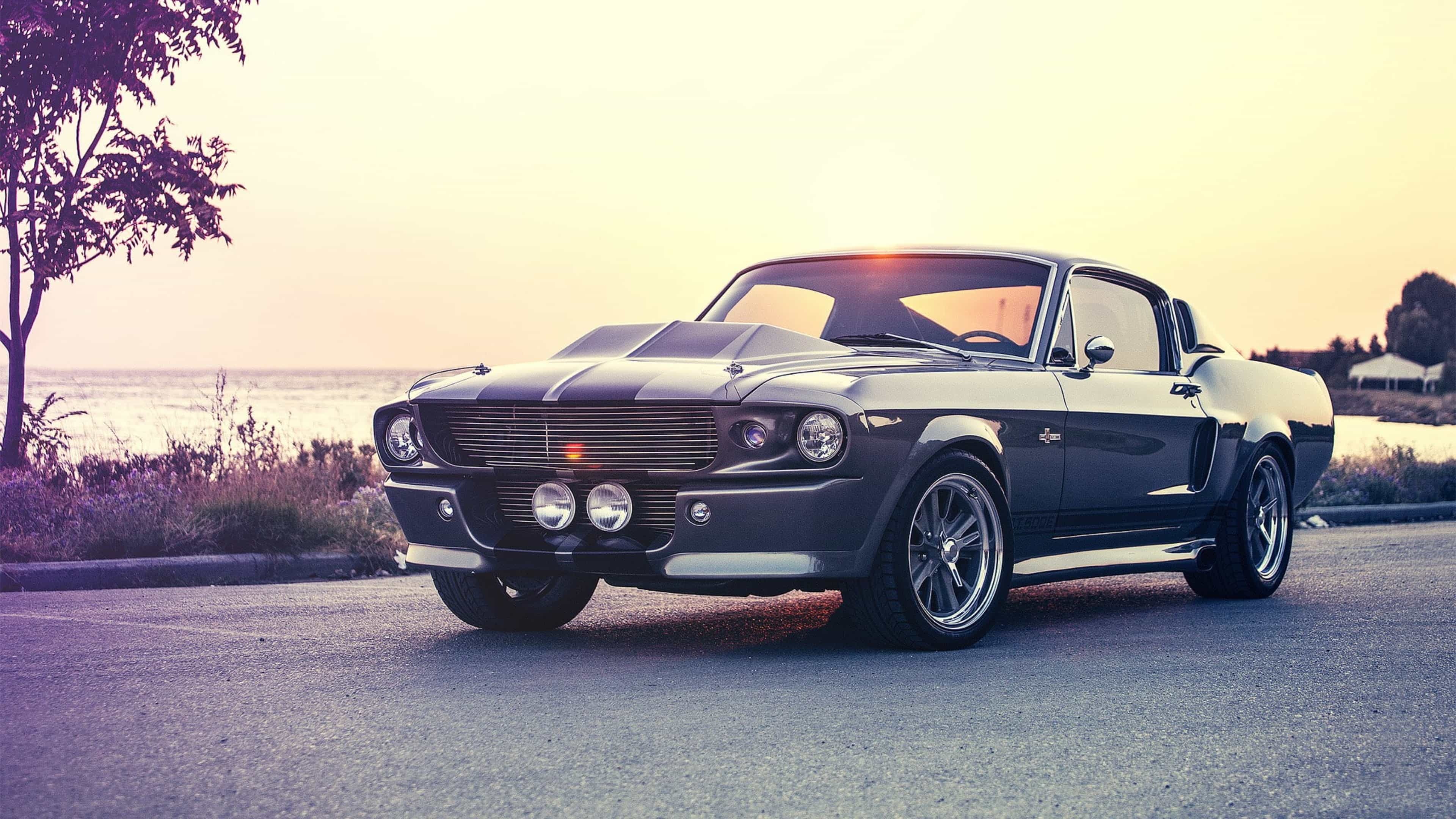 GT500, Mustang Shelby, Iconic sports car, Performance and style, 3840x2160 4K Desktop