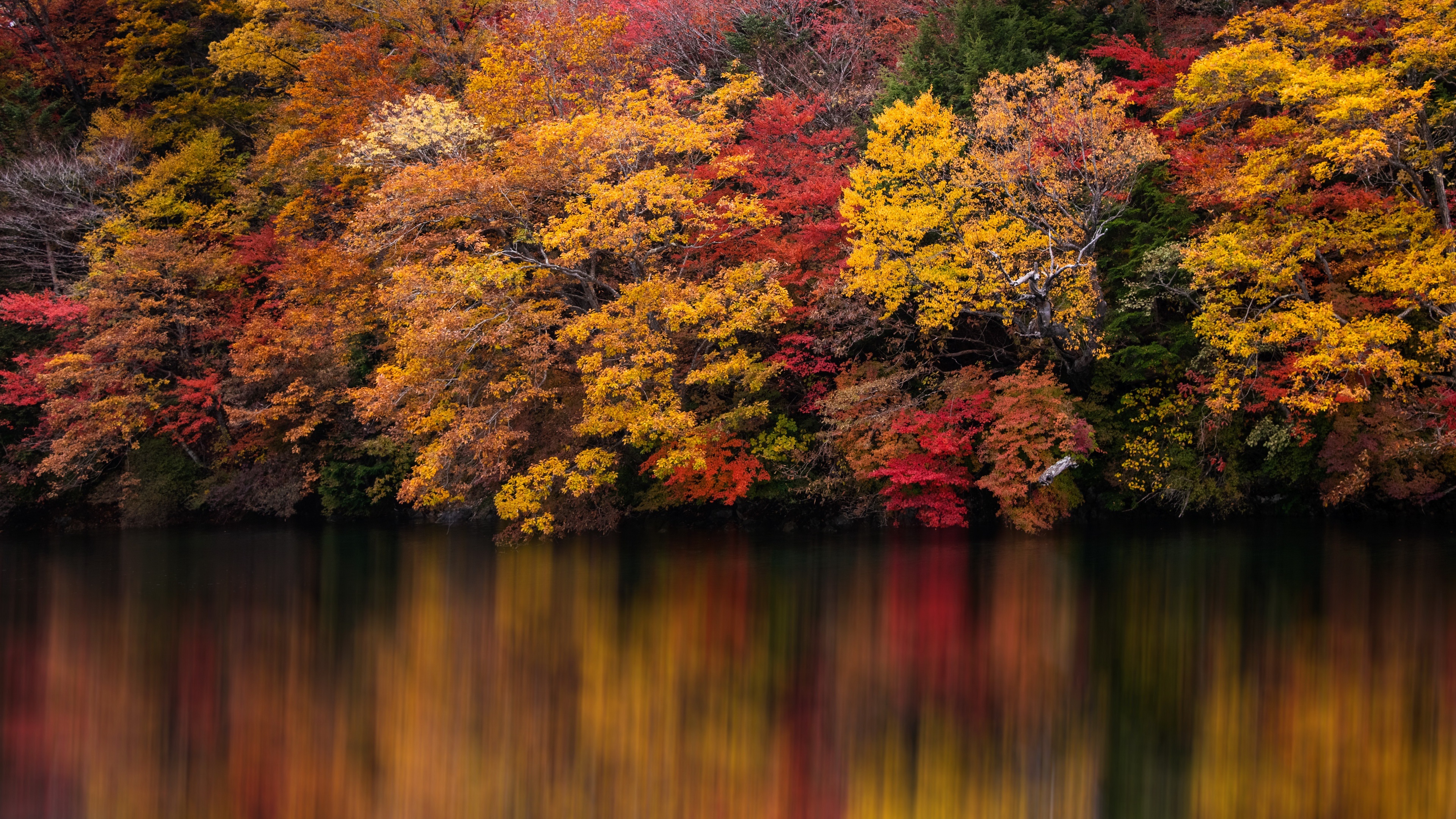 4K Fall wallpapers, Background variety, Autumn spectacle, Visual experience, Nature showcase, 3840x2160 4K Desktop