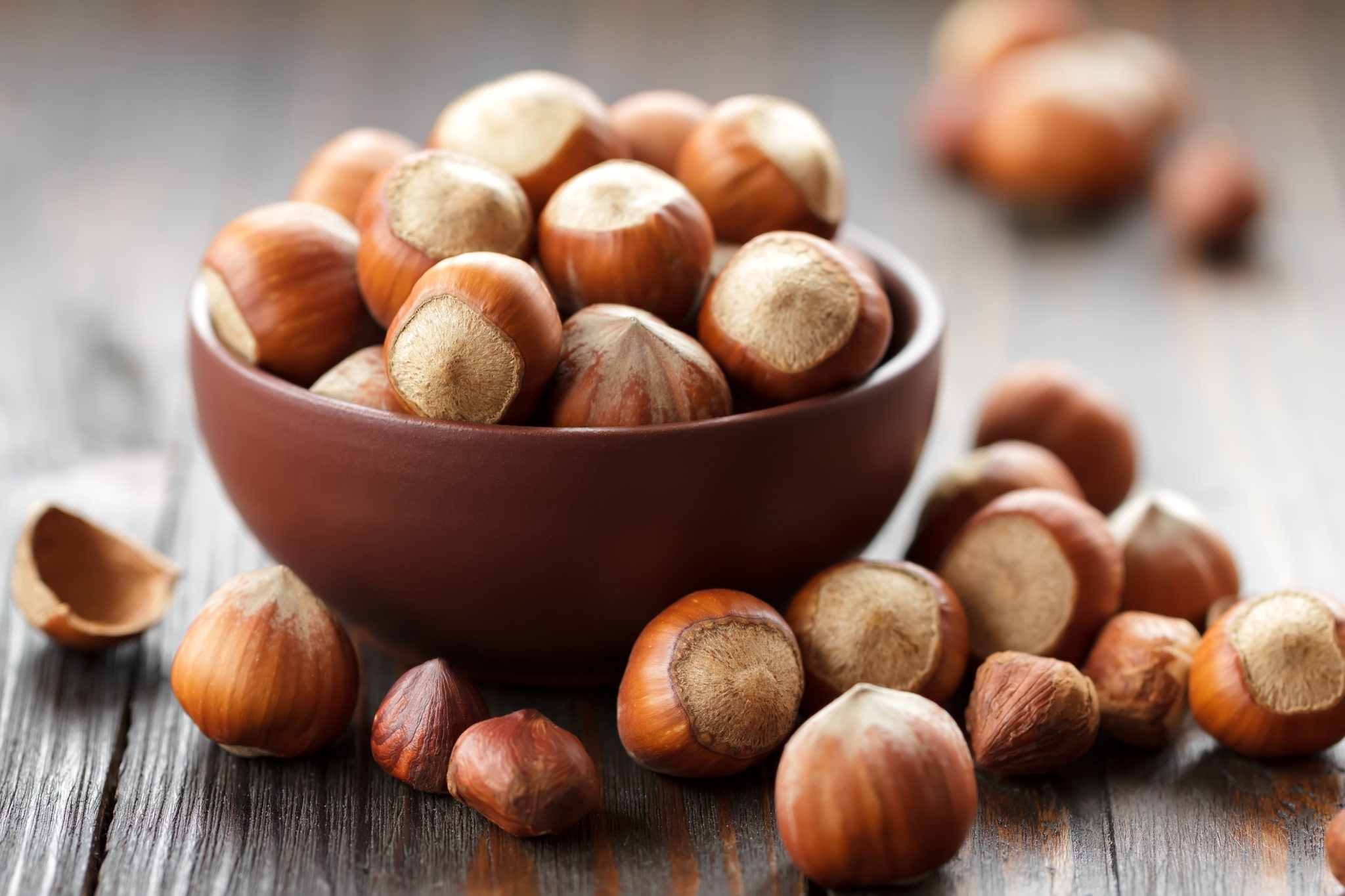 Hazelnuts: Fruit, covered with leafy capsule, Each tree produces 20 to 25 pounds of per year. 2050x1370 HD Wallpaper.