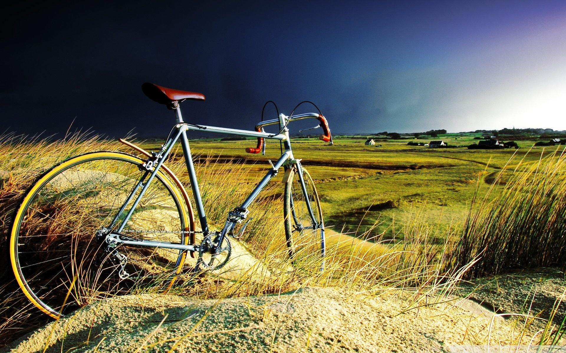 Bicycle admiration, Stunning backgrounds, Nature's beauty, HD imagery, 1920x1200 HD Desktop
