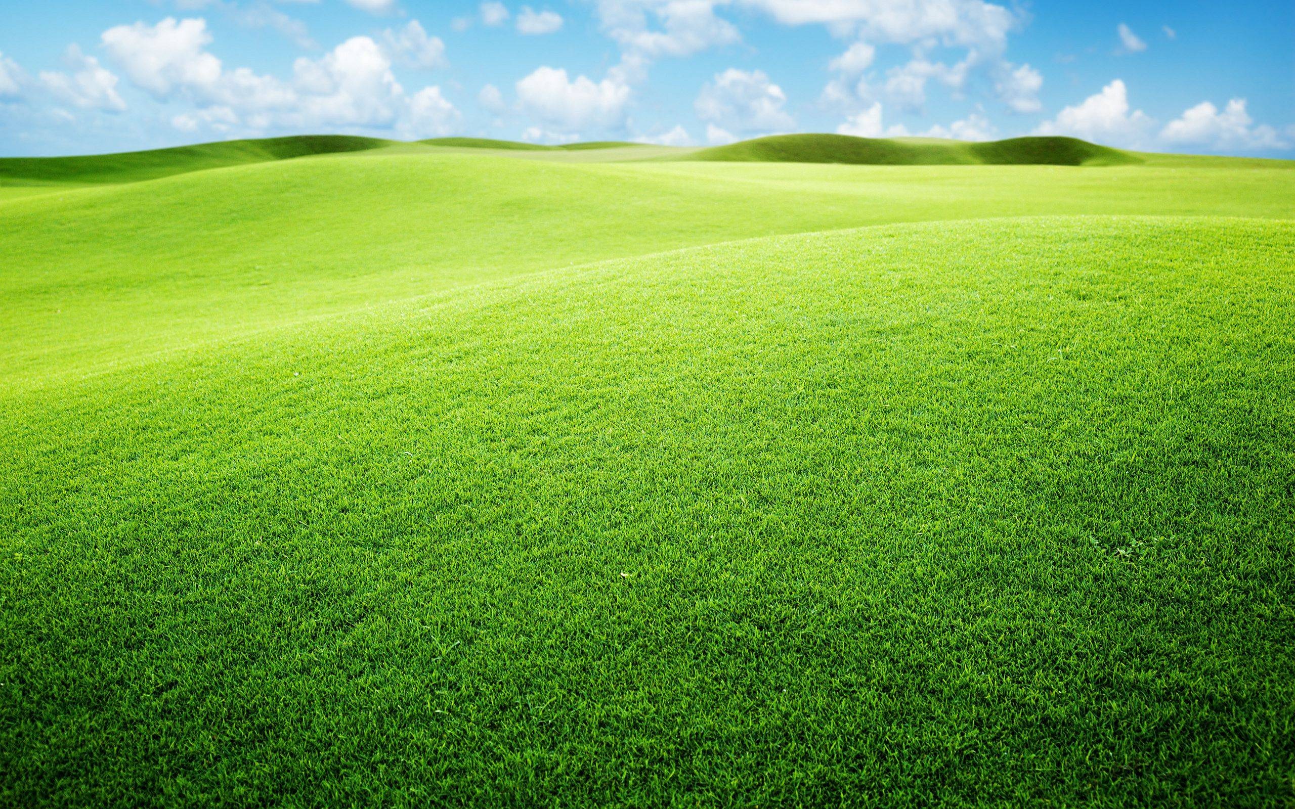 Grassland: Natural beauty, Atmosphere, Backcountry, Uninhabited region, Pasture. 2560x1600 HD Wallpaper.
