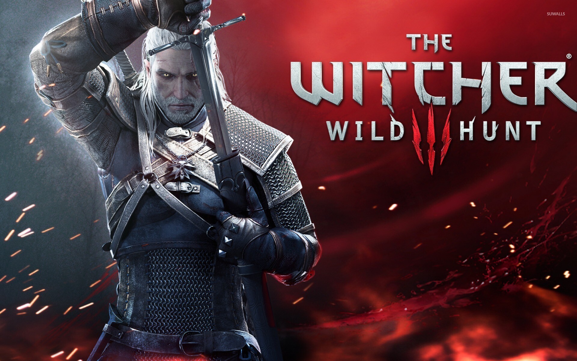 The Witcher (Game): Wild Hunt, A story-driven, next-generation open world. 1920x1200 HD Wallpaper.