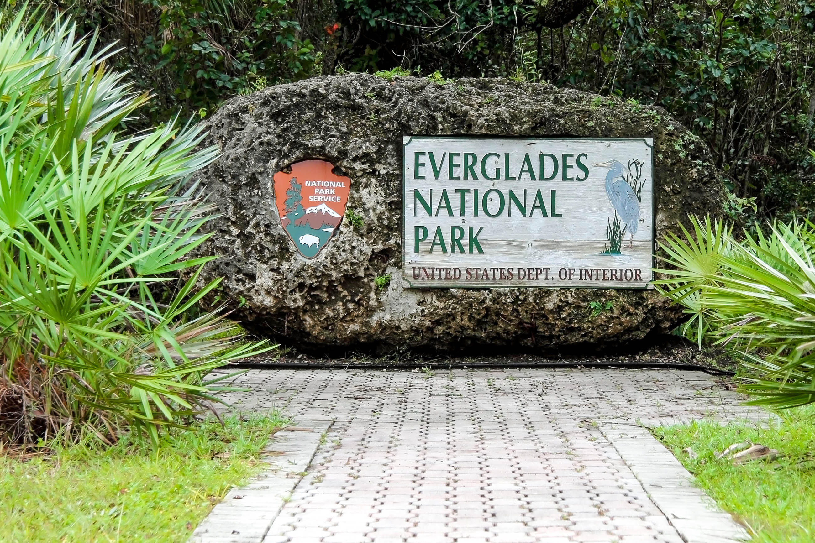 Den Everglades-Nationalpark in Florida entdecken :677954, 2600x1740 HD Desktop