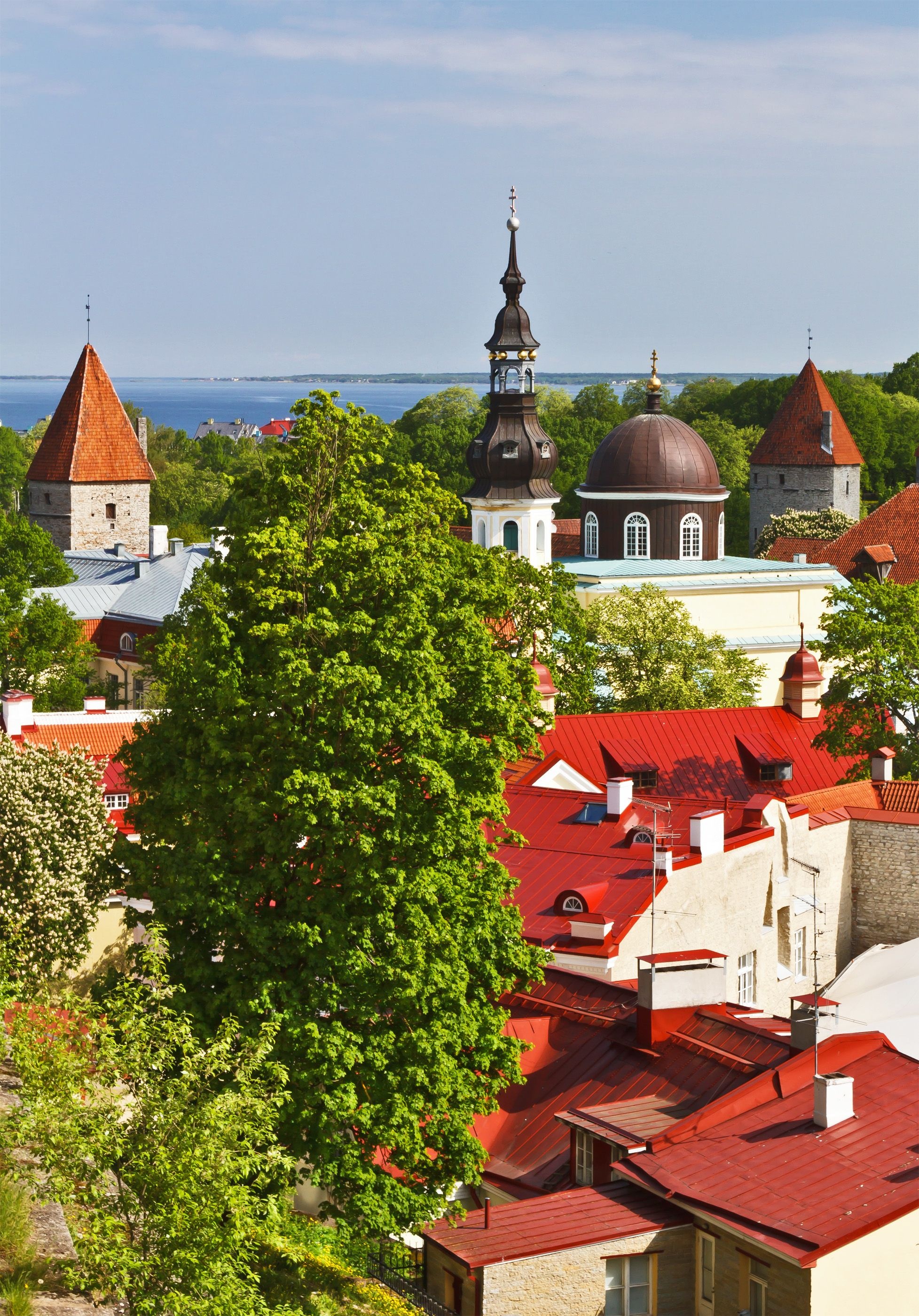 Tallinn, Sustainable buildings, Green architecture, Eco-friendly initiatives, 1960x2800 HD Phone
