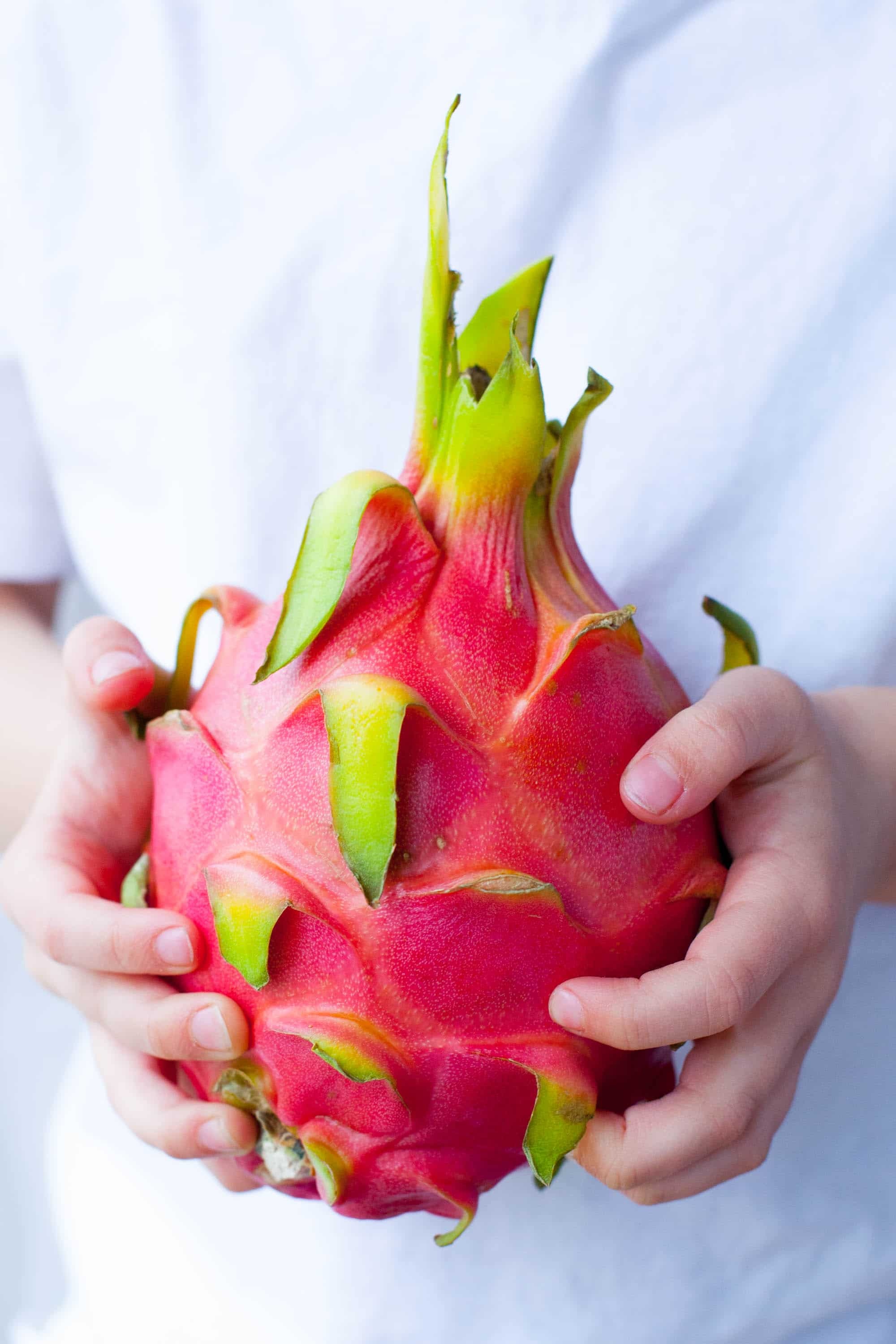 Dragon Fruit: Known for its leather-like skin and scaly spikes on the fruit exterior. 2000x3000 HD Background.