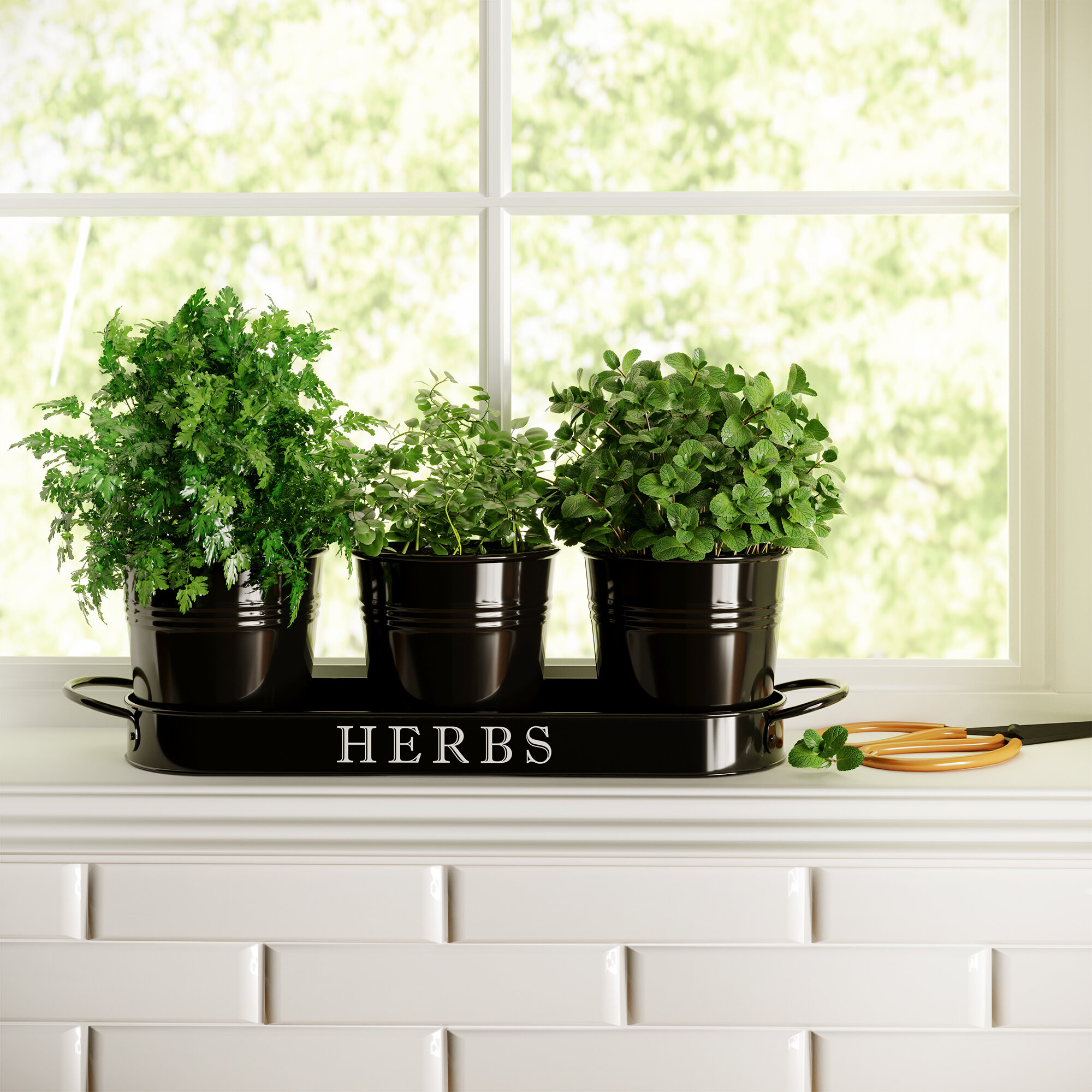 Gracie Oaks herb planter, Kitchen greenery, Indoor gardening, Stylish design, 2000x2000 HD Handy