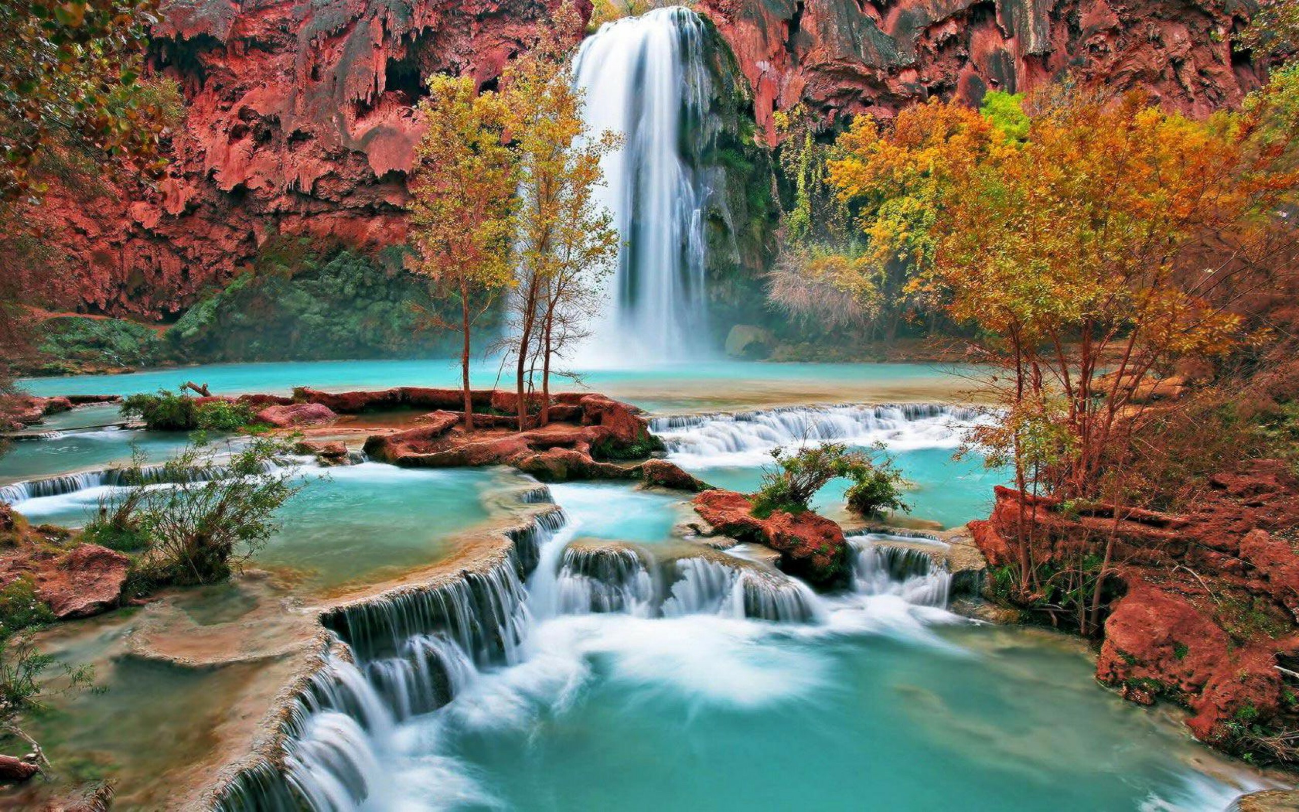 Waterfall: Havasu Falls, The Grand Canyon, Arizona. 2560x1600 HD Background.