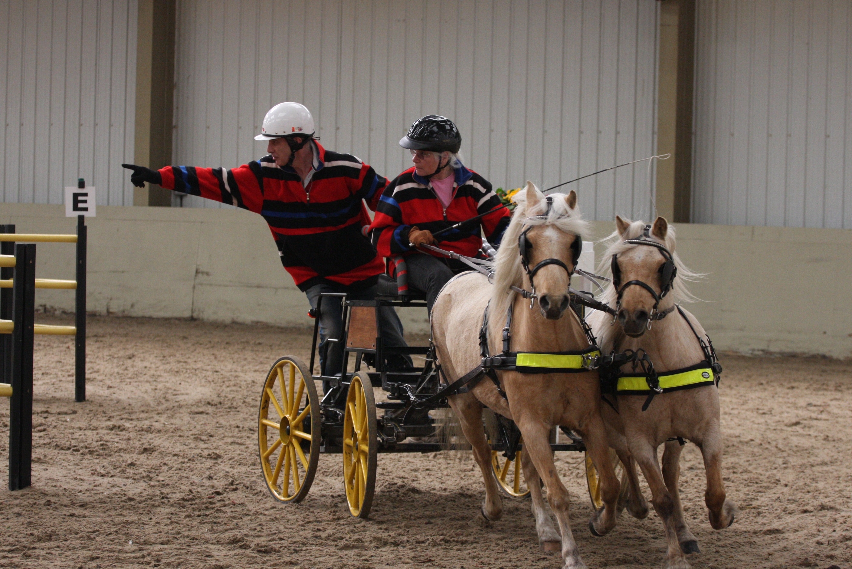Carriage Driving (Sports), Horse driving trials, Inharness magazine updates, Page 3, 2820x1880 HD Desktop