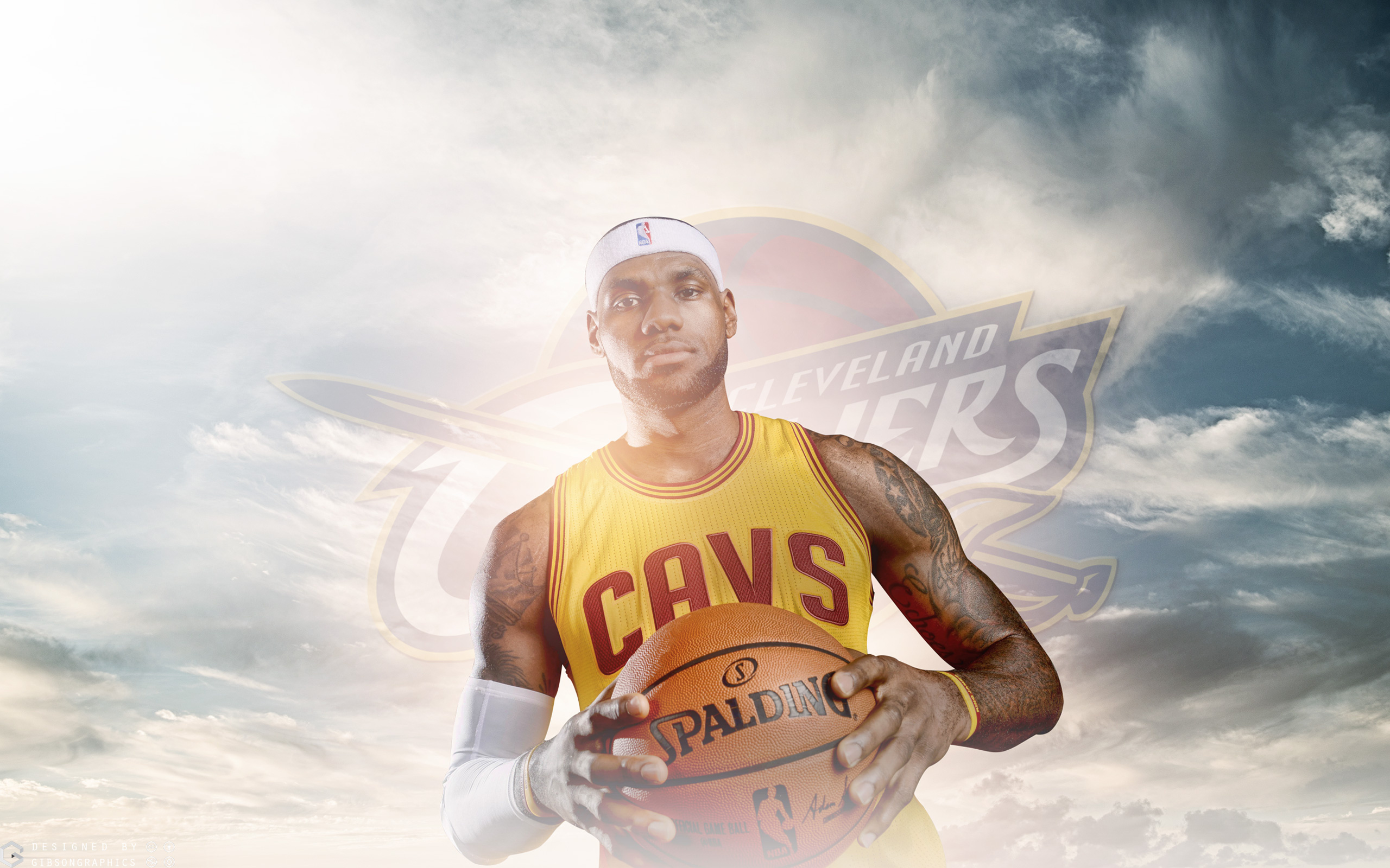 Cleveland Cavaliers: LeBron James, Dan Gilbert has owned the team since March 2005. 2560x1600 HD Background.