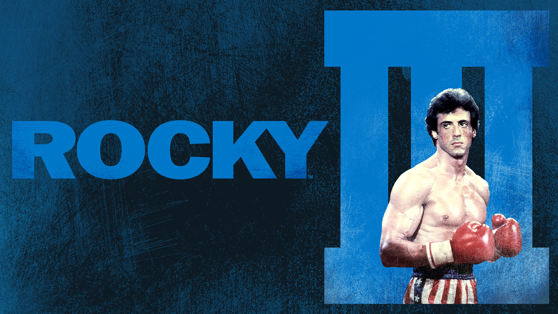 Rocky: The Italian Stallion, the heavyweight champion of the world. 1920x1080 Full HD Background.