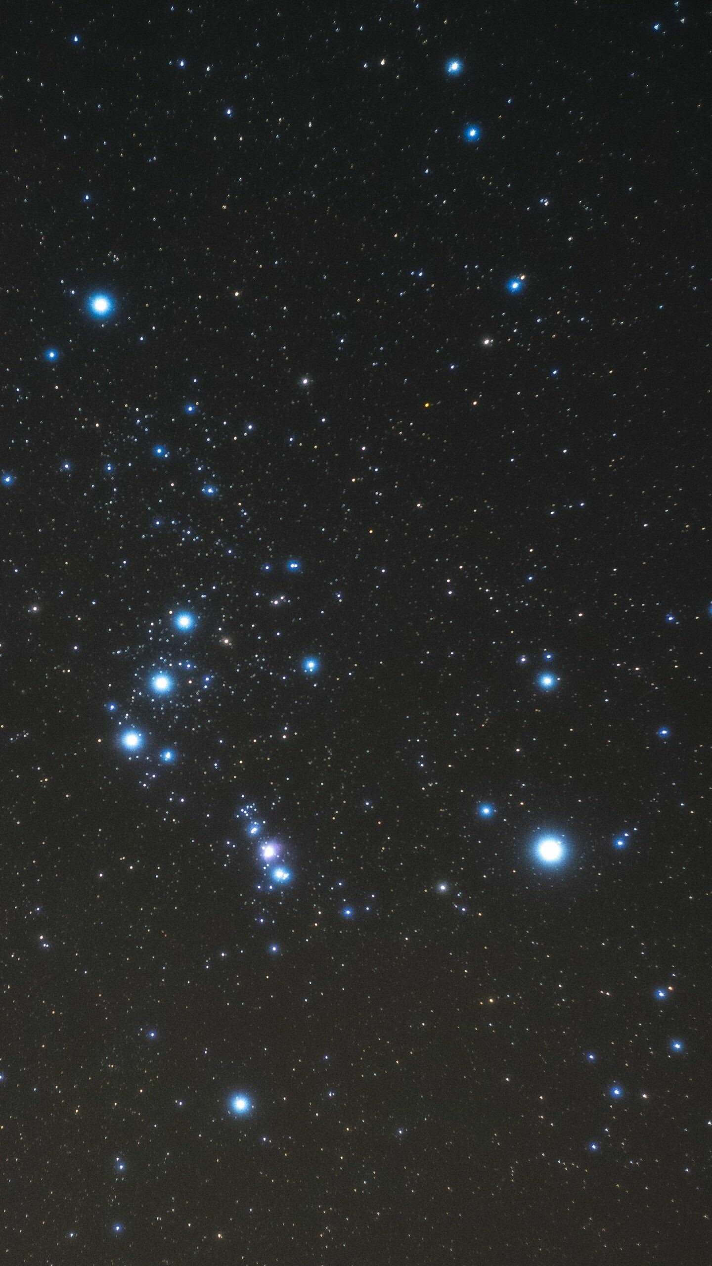 Orion constellation, Celestial hunter, Star clusters, Astronomical wonder, 1440x2560 HD Phone