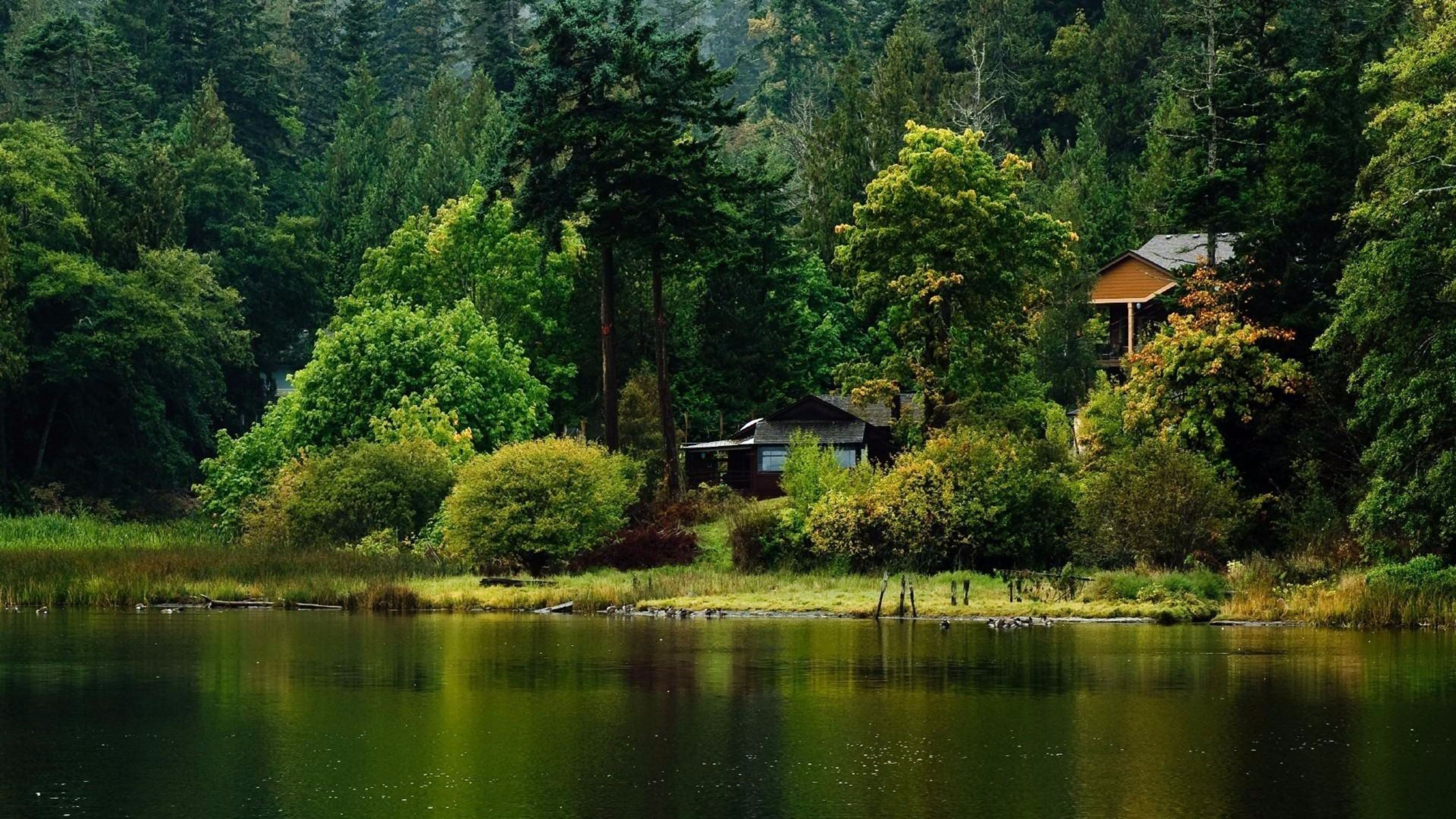 Riverside travels, Cabin nature, Green scenery sunset, Top free cabin, 3840x2160 4K Desktop