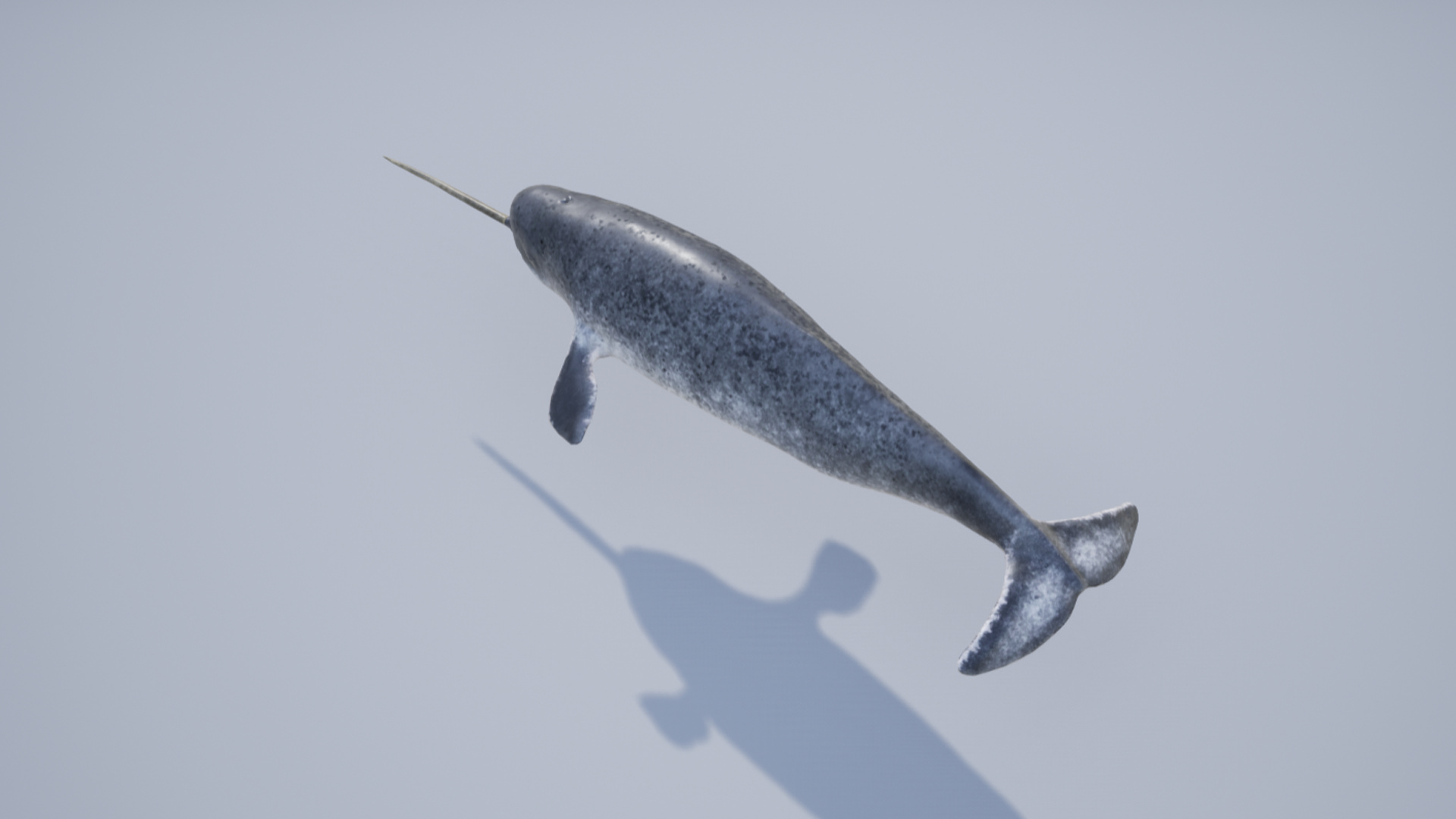 Narwhal characters, Intriguing design, Digital excellence, Character art, 1920x1080 Full HD Desktop