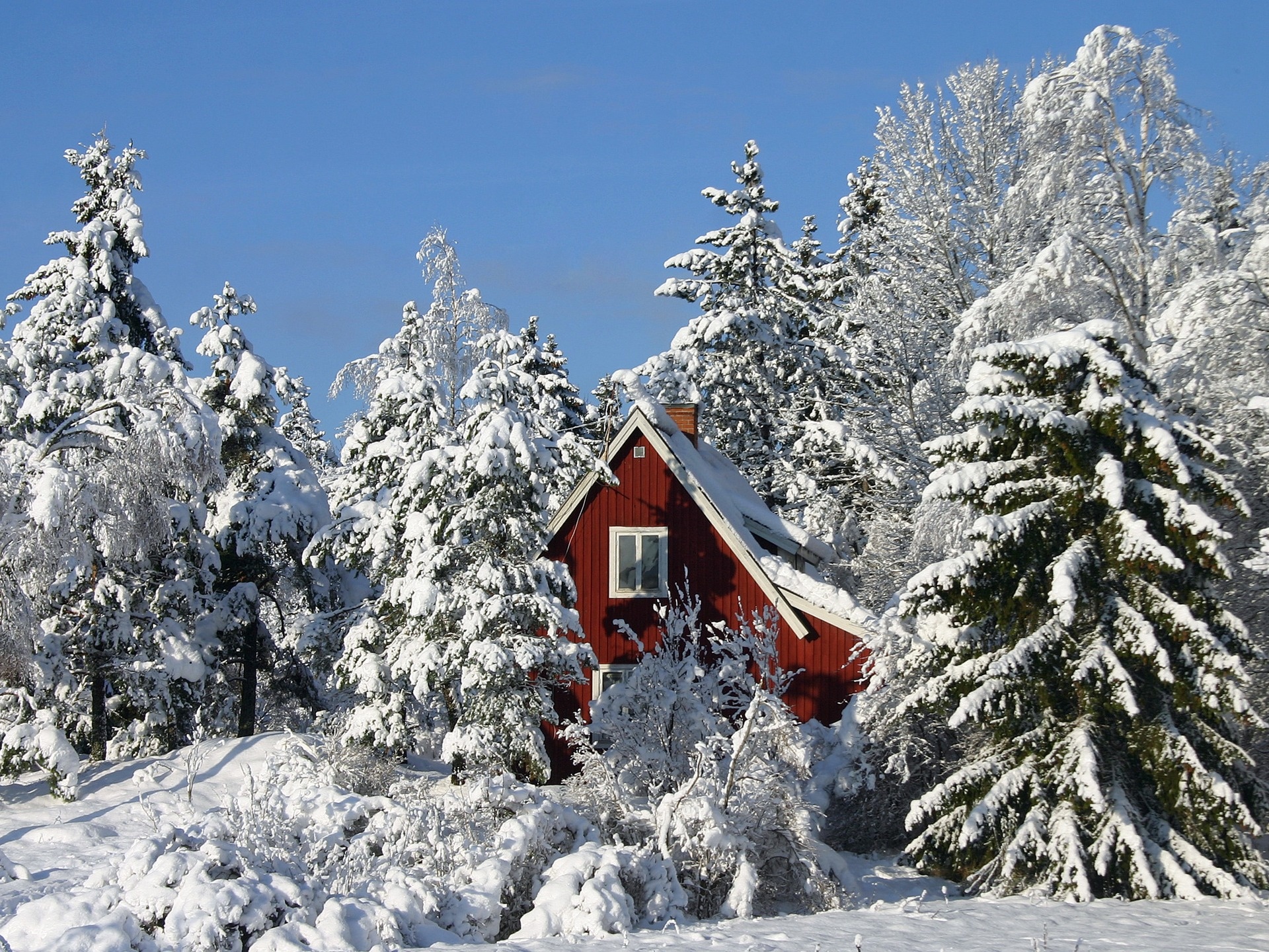 Sweden travels, Winter wallpapers, Nature's tranquility, Wildlife encounters, 1920x1440 HD Desktop