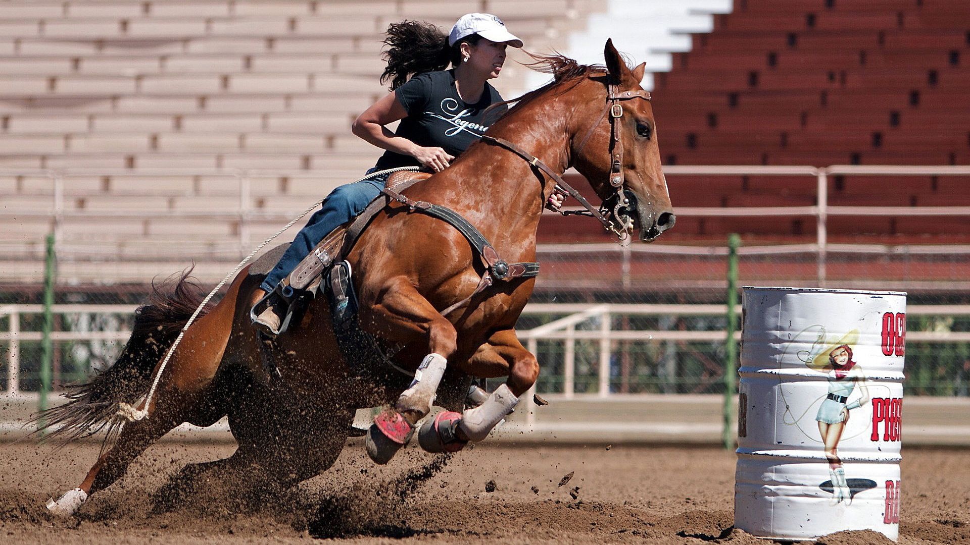 Equestrian Sports: Reining, A western riding competition for horses, A classic American horse-riding activity. 1920x1080 Full HD Background.