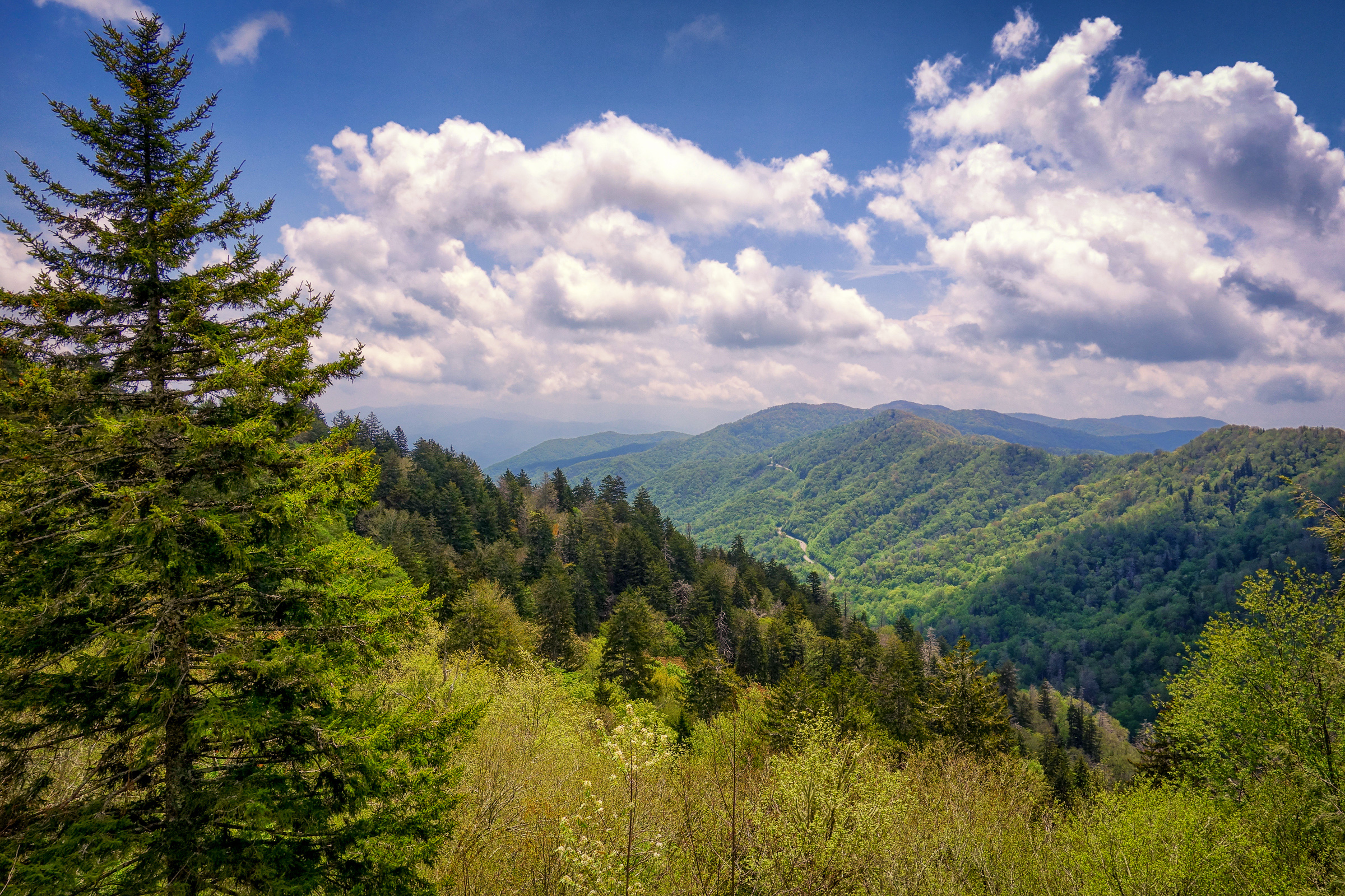 Great Smoky Mountains National Park, Blue Ridge Mountain life, Outdoor adventure, Scenic trails, 2400x1600 HD Desktop