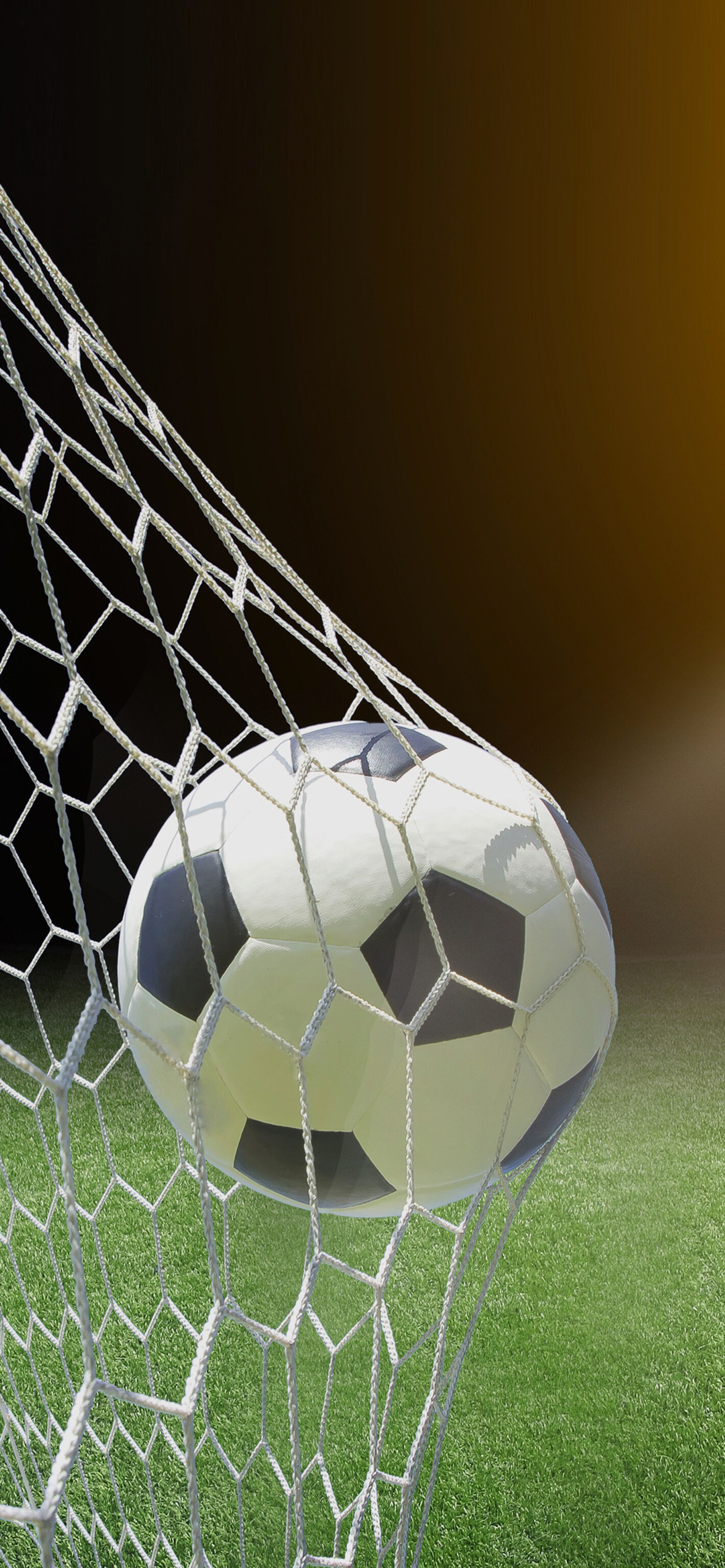 Goal (Sports): Telstar, A football made by Adidas, The 32-panel design of the ball, FIFA World Cup. 1420x3080 HD Background.
