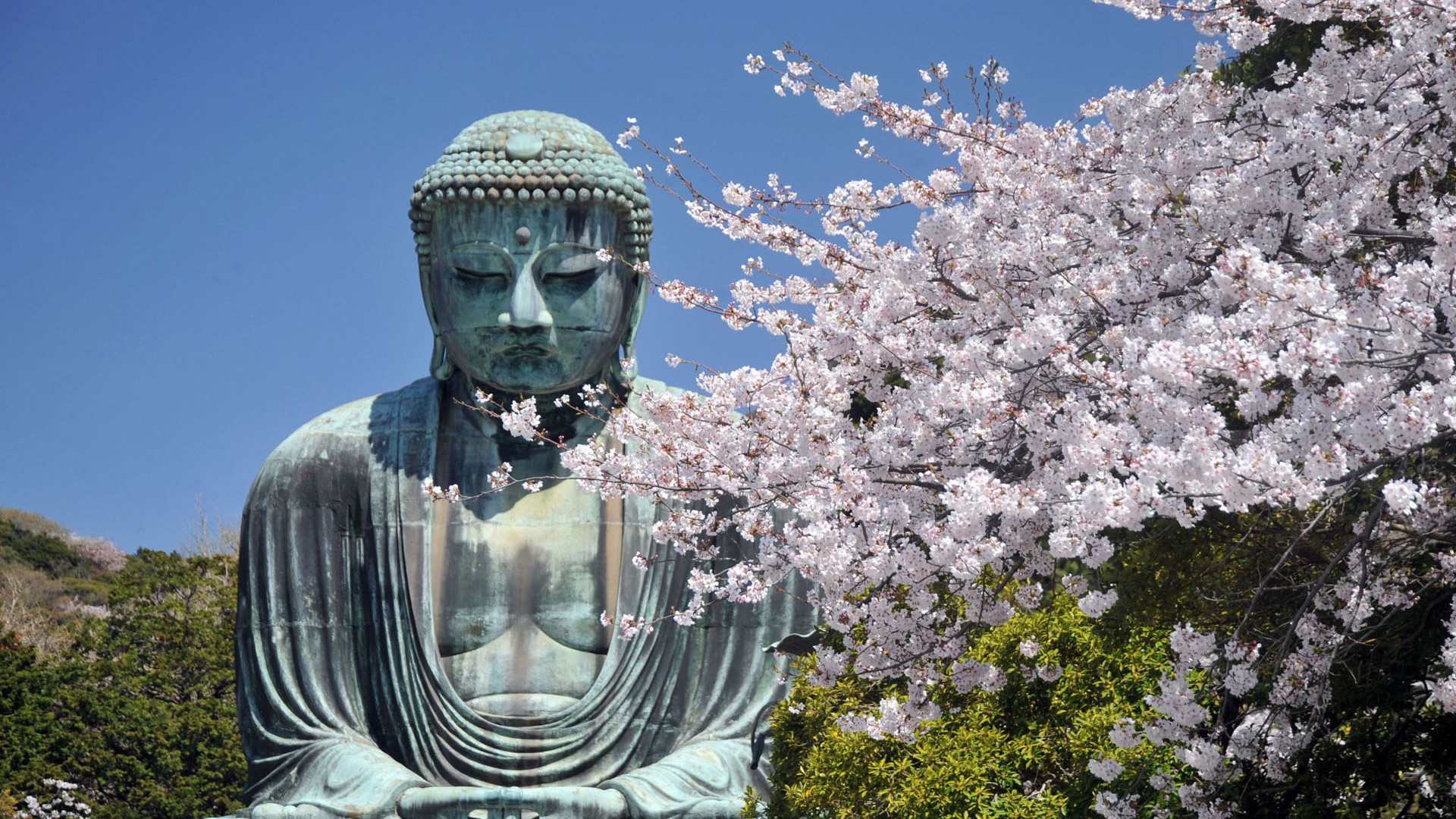 Great Buddha, Kamakura, Kotoku in destinationen, Tokyo day trip, 1920x1080 Full HD Desktop