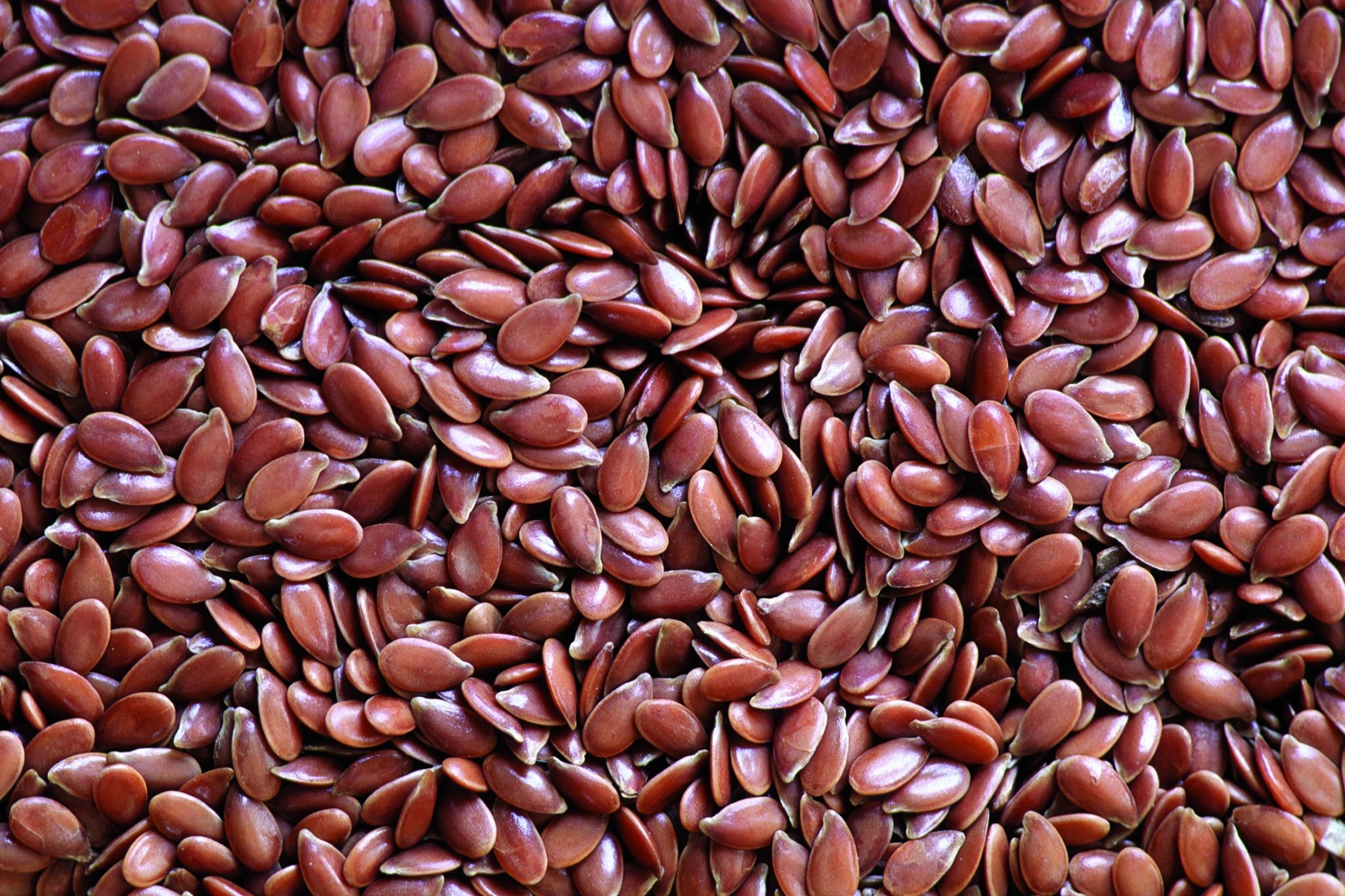 Flax Seeds, Horse food ingredient, Muenster milling company, 2050x1370 HD Desktop