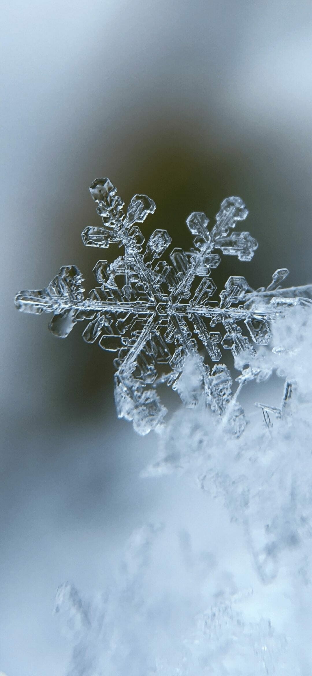 Winter: A snowflake, A single ice crystal that has achieved a sufficient size, Glacial. 1080x2340 HD Wallpaper.