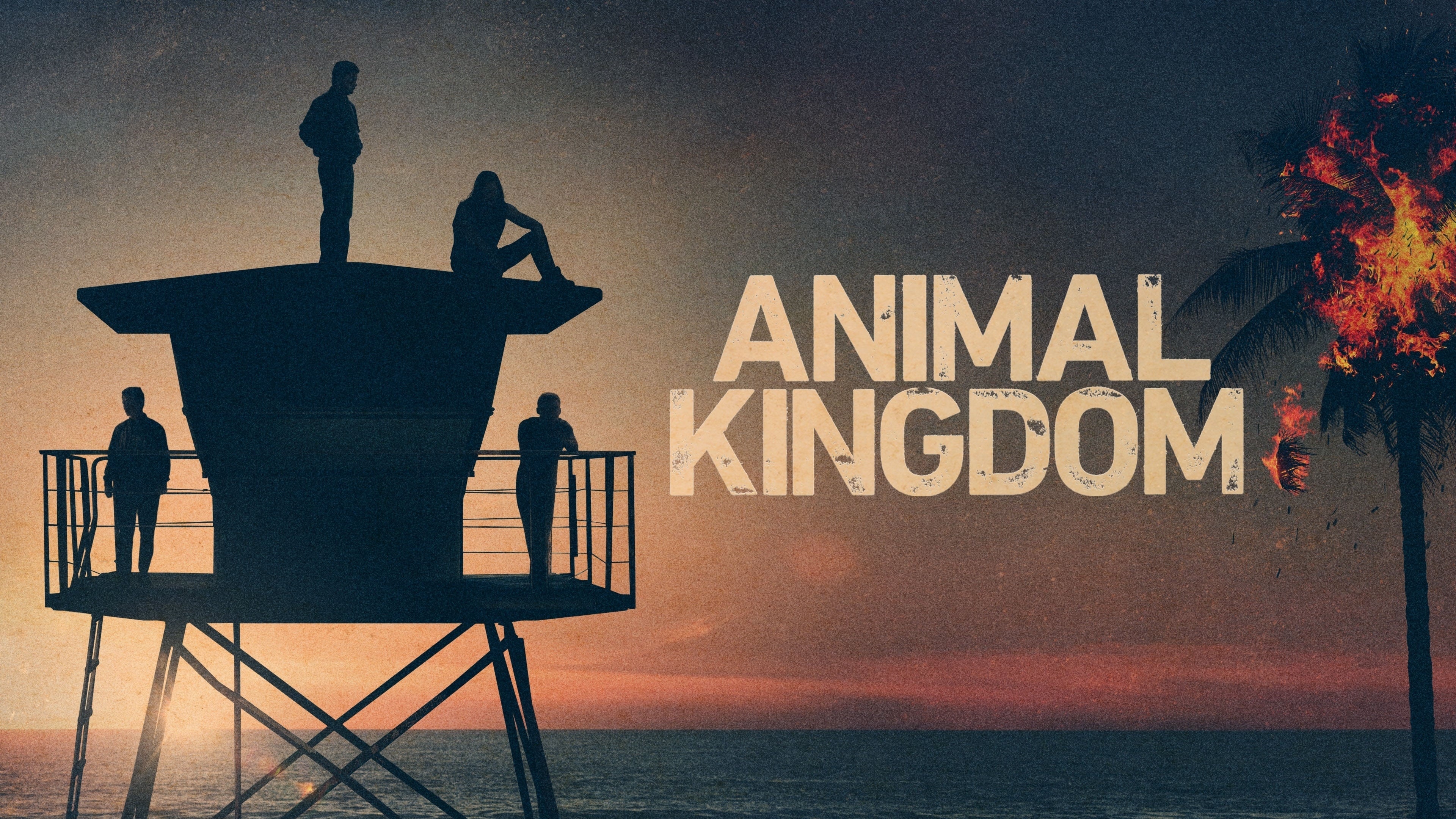 Animal Kingdom TV Series, Exciting videos, Binge-worthy series, 2016-2022, 3840x2160 4K Desktop
