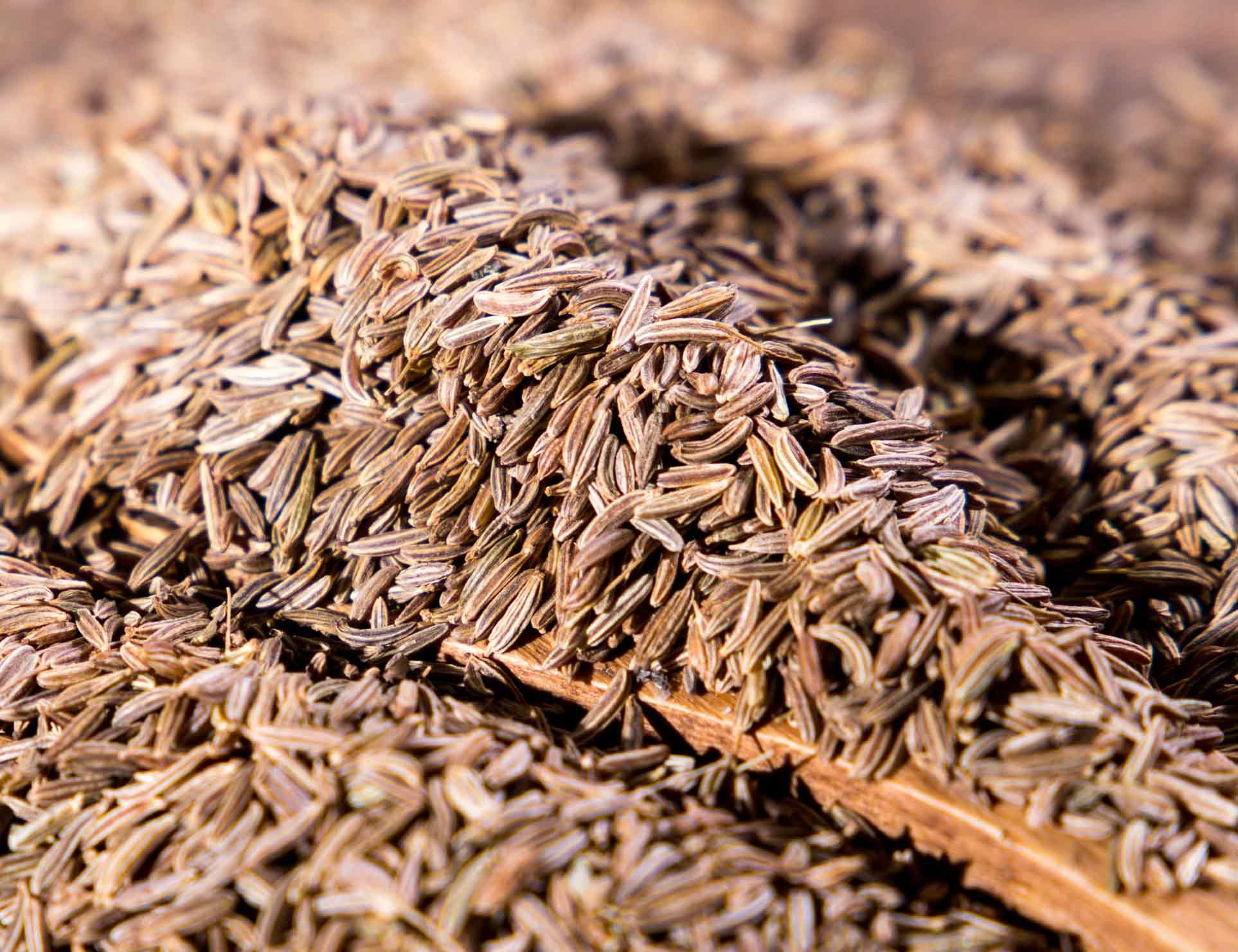 High-quality caraway, Buy caraway seeds, Competitive price, Premium spice, 1930x1480 HD Desktop