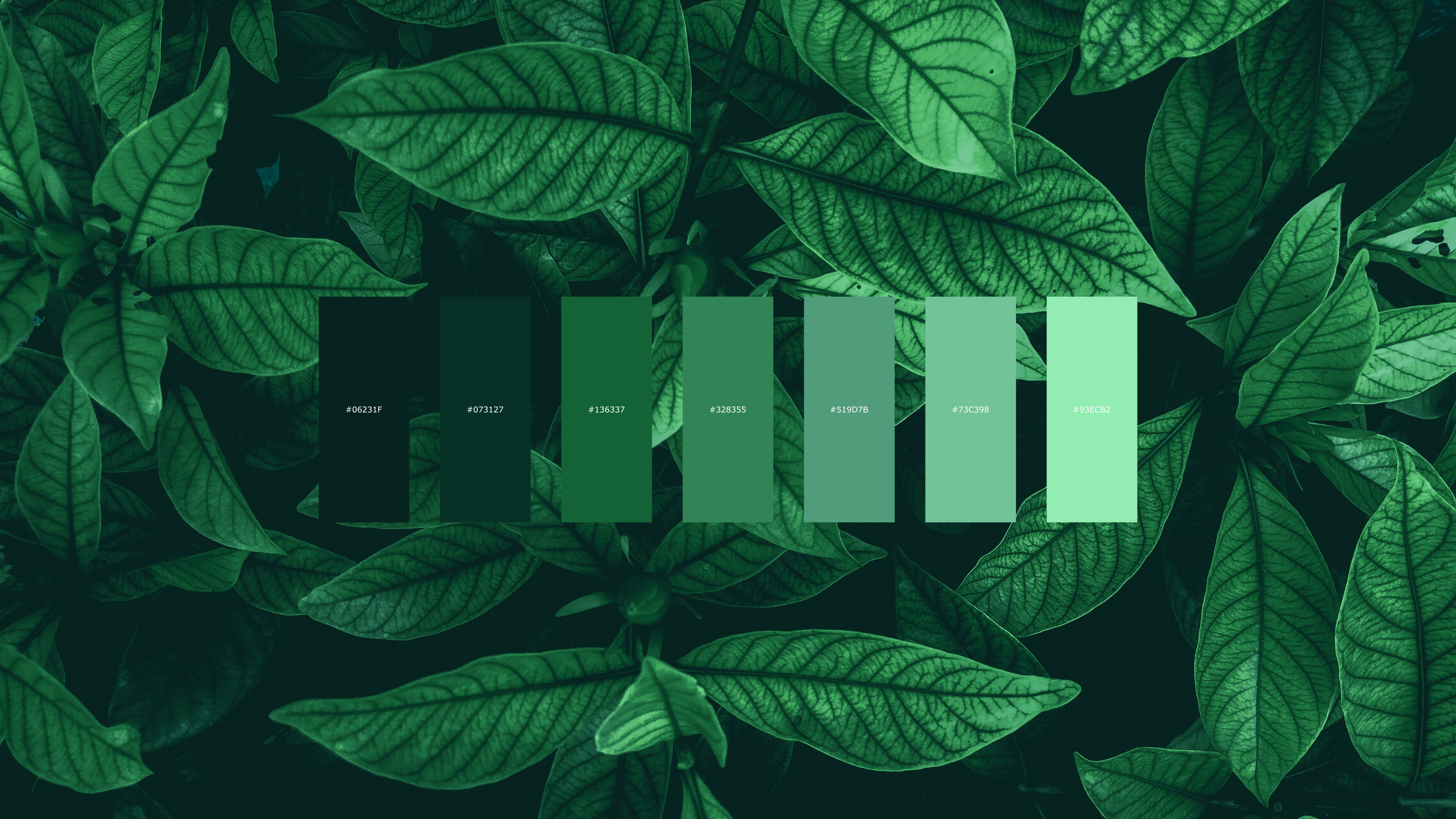 Leaves color palette, Nature-inspired shades, RWallpaper, 3840x2160 4K Desktop