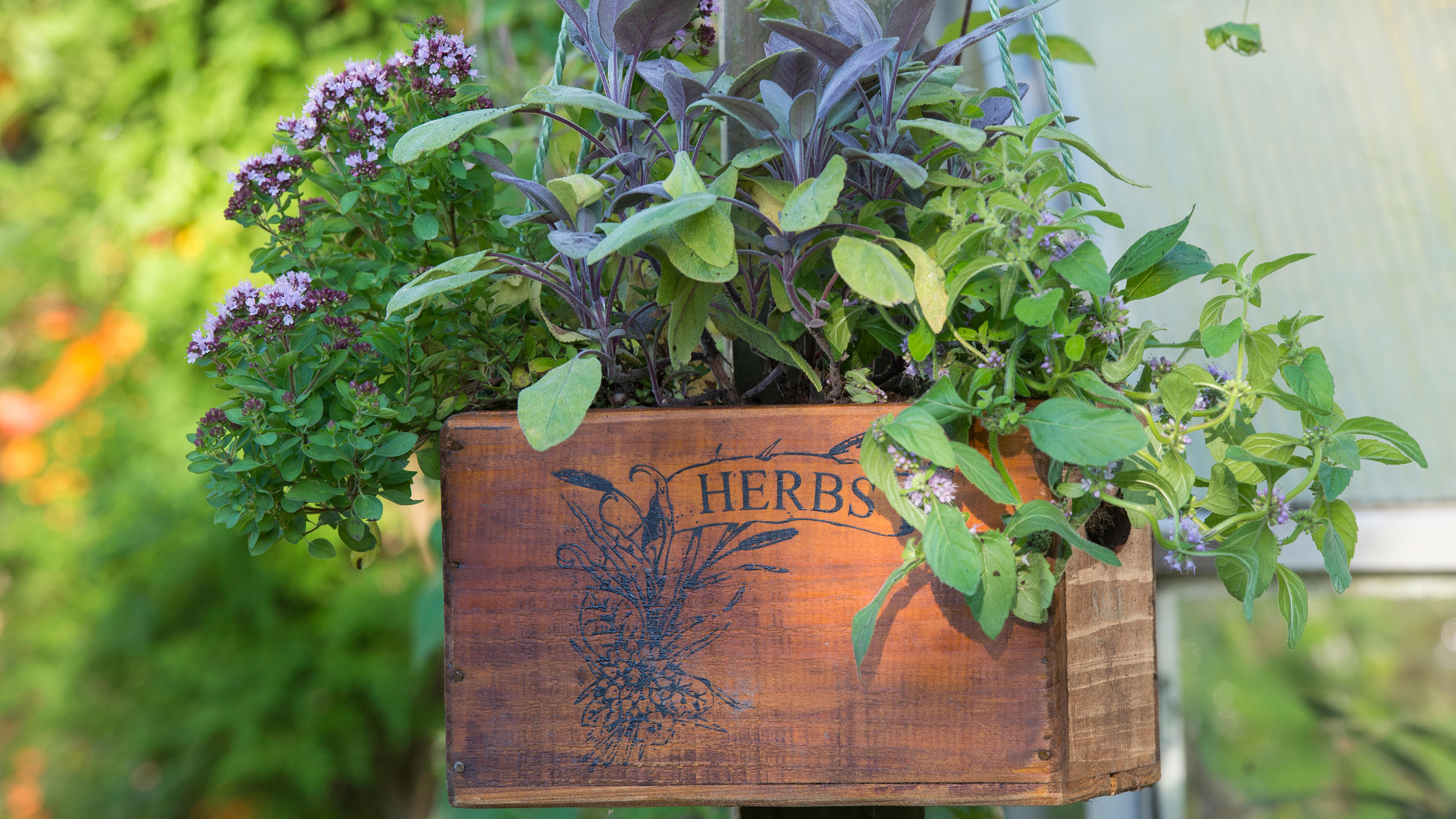 Herb garden ideas, Outdoor and indoor options, Green paradise, Gardening inspiration, 3200x1800 HD Desktop