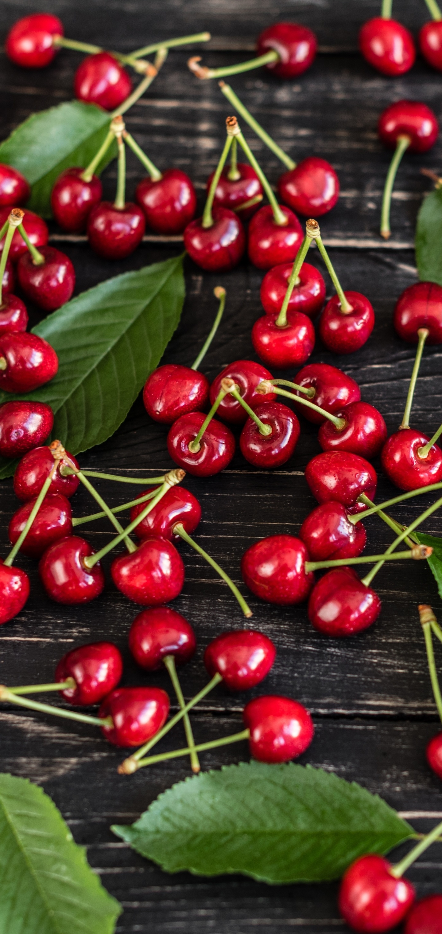 Cherry: Available for a short season in the mid-spring through the summer. 1440x3040 HD Wallpaper.