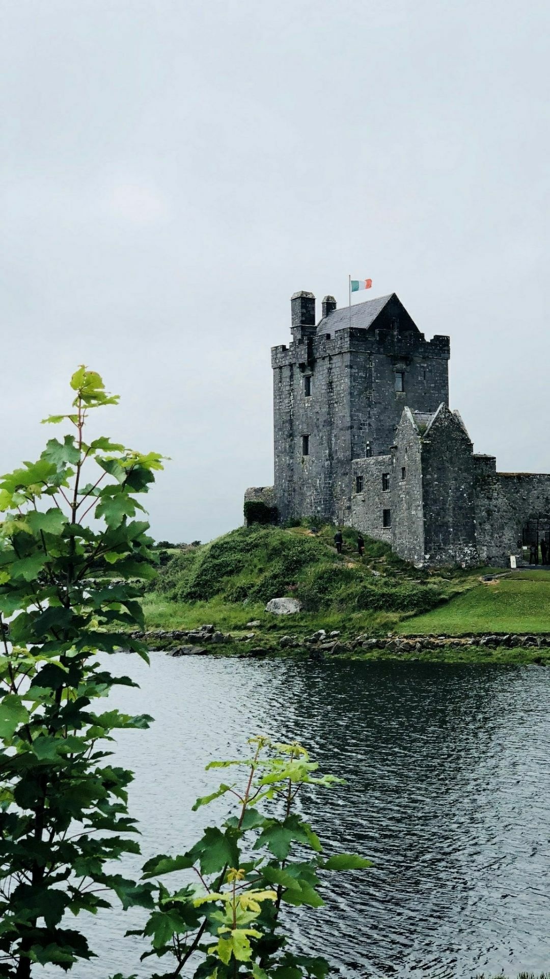 Dunguaire Castle, Medieval Banquet, Kinvarra Attractions, Travel Review, 1080x1920 Full HD Phone
