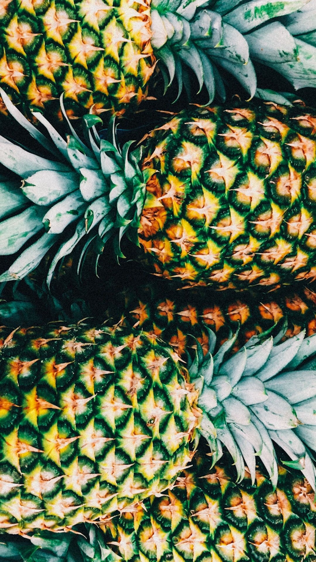 Pineapple: The only edible fruit of its kind, the Bromeliads. 1080x1920 Full HD Wallpaper.