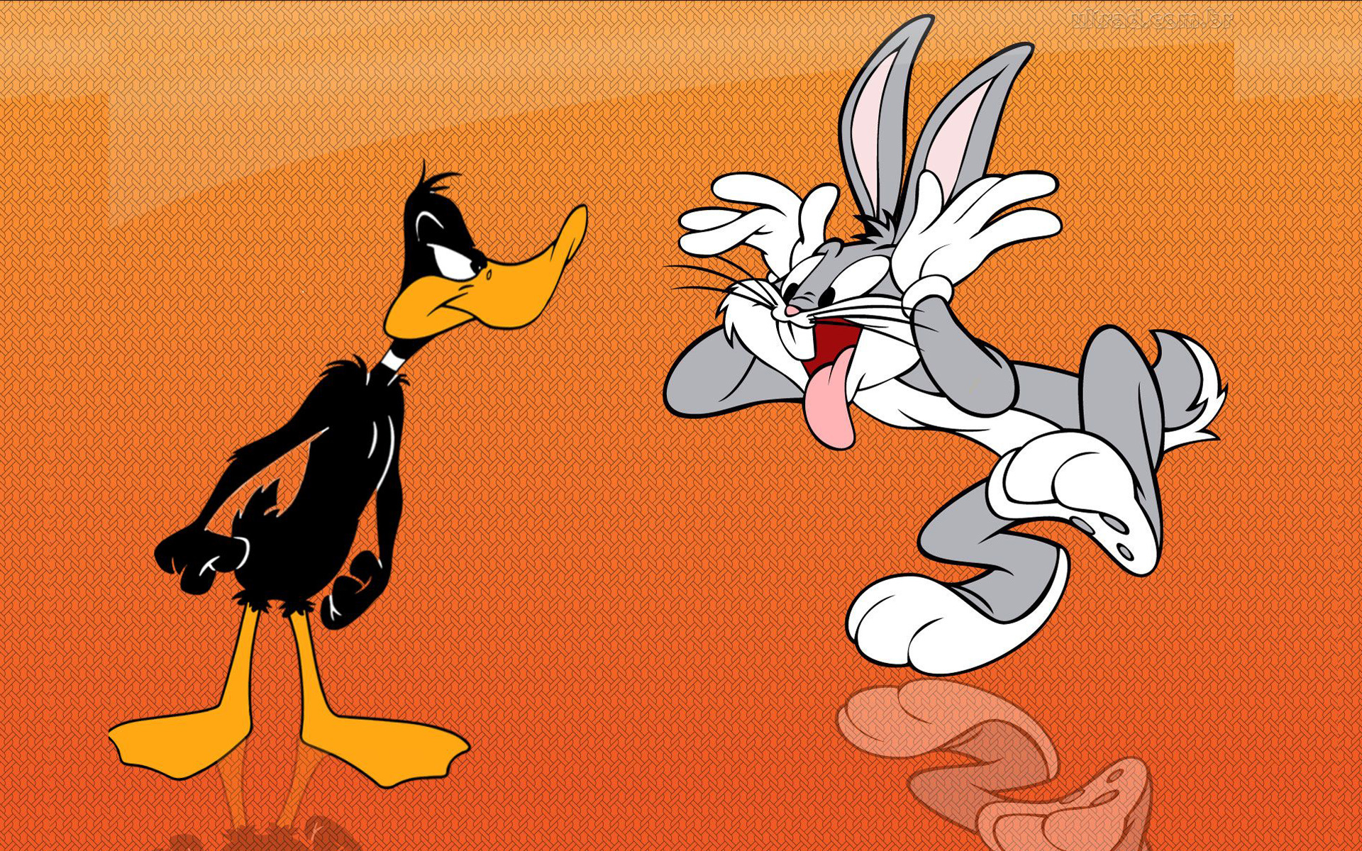 Bugs Bunny, Daffy Duck, Funny Cartoon, HD Wallpaper, 1920x1200 HD Desktop