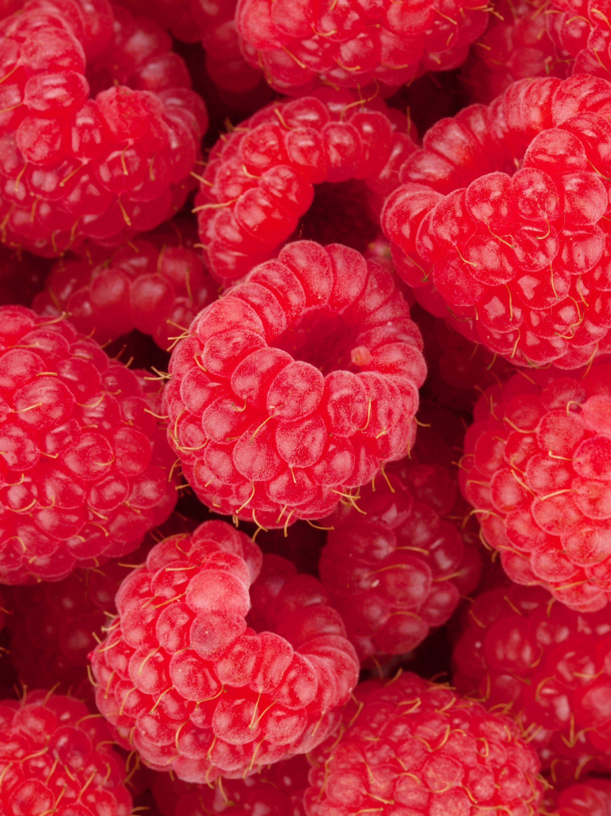 Food, Raspberry, Background images, 2050x2740 HD Phone