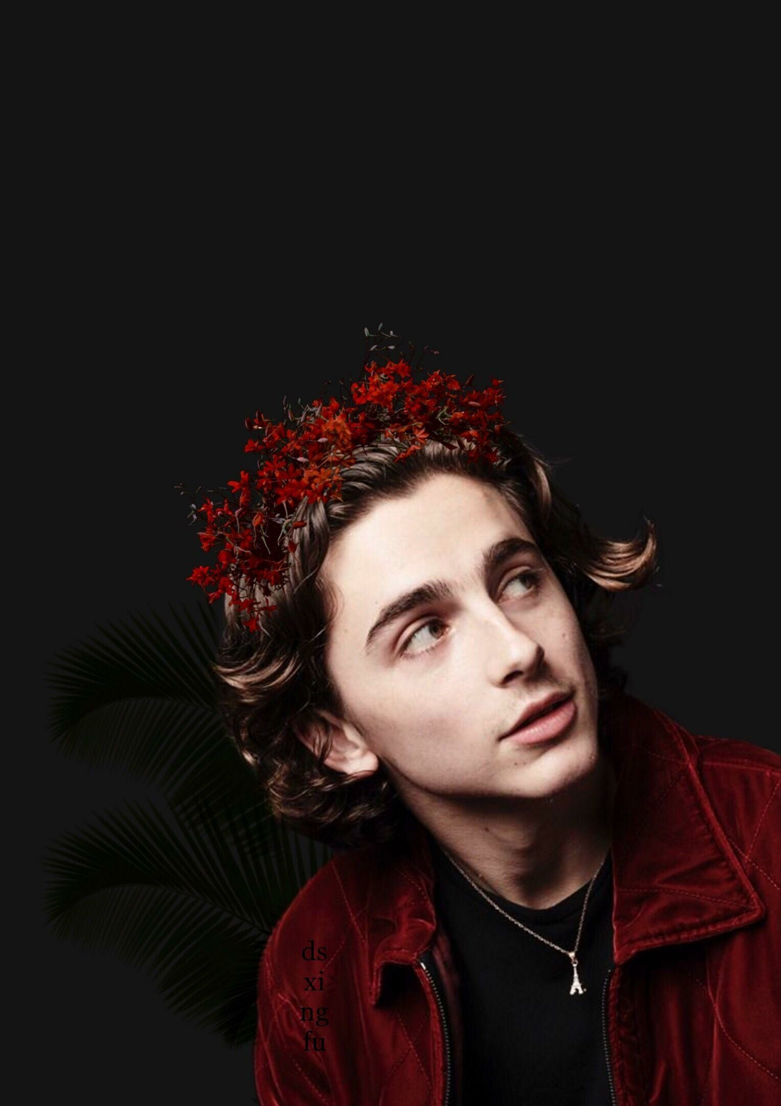 Timothee Chalamet: Won the Lucille Lortel Award for Outstanding Lead Actor in a Play. 1530x2170 HD Wallpaper.