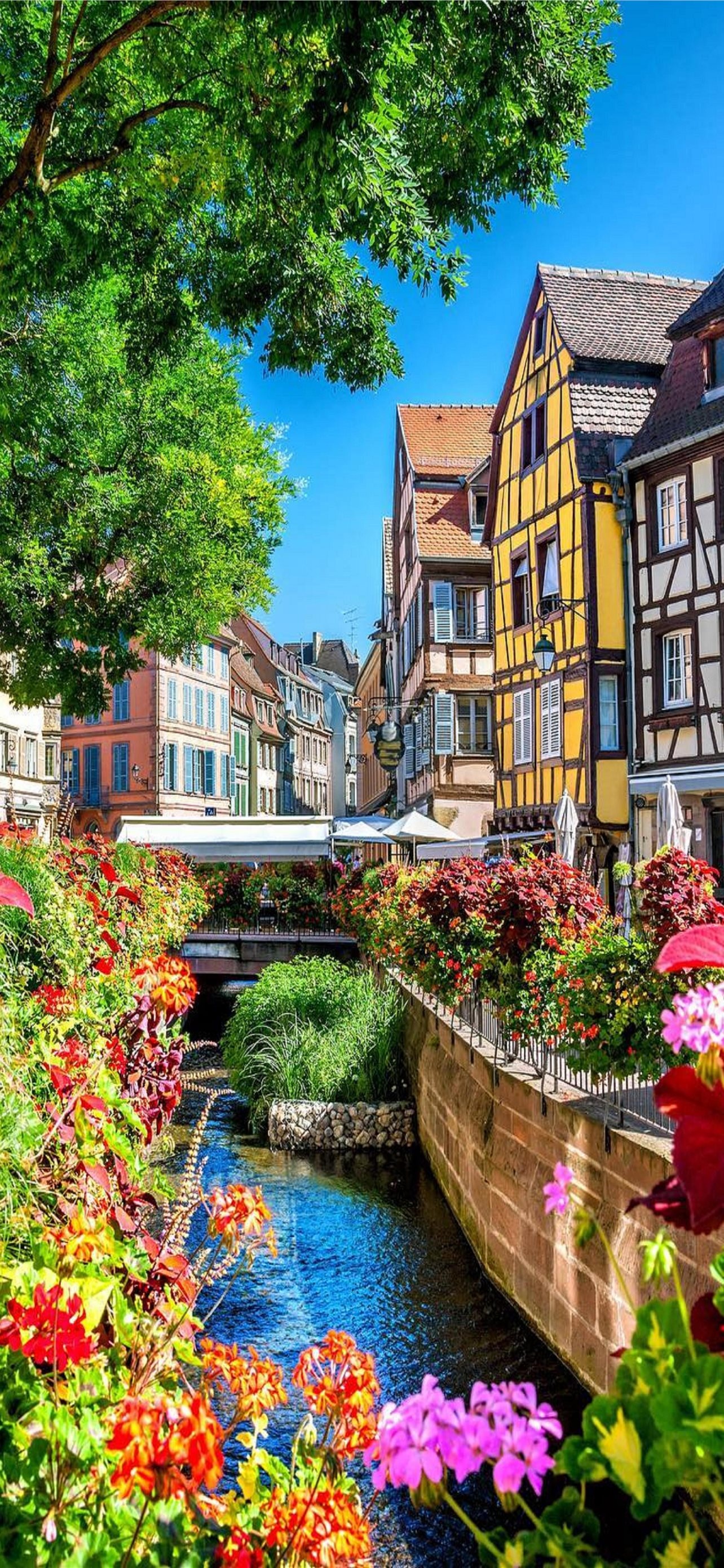 Strasbourg, France, Latest iPhone wallpapers, Vibrant colors, 1290x2780 HD Phone