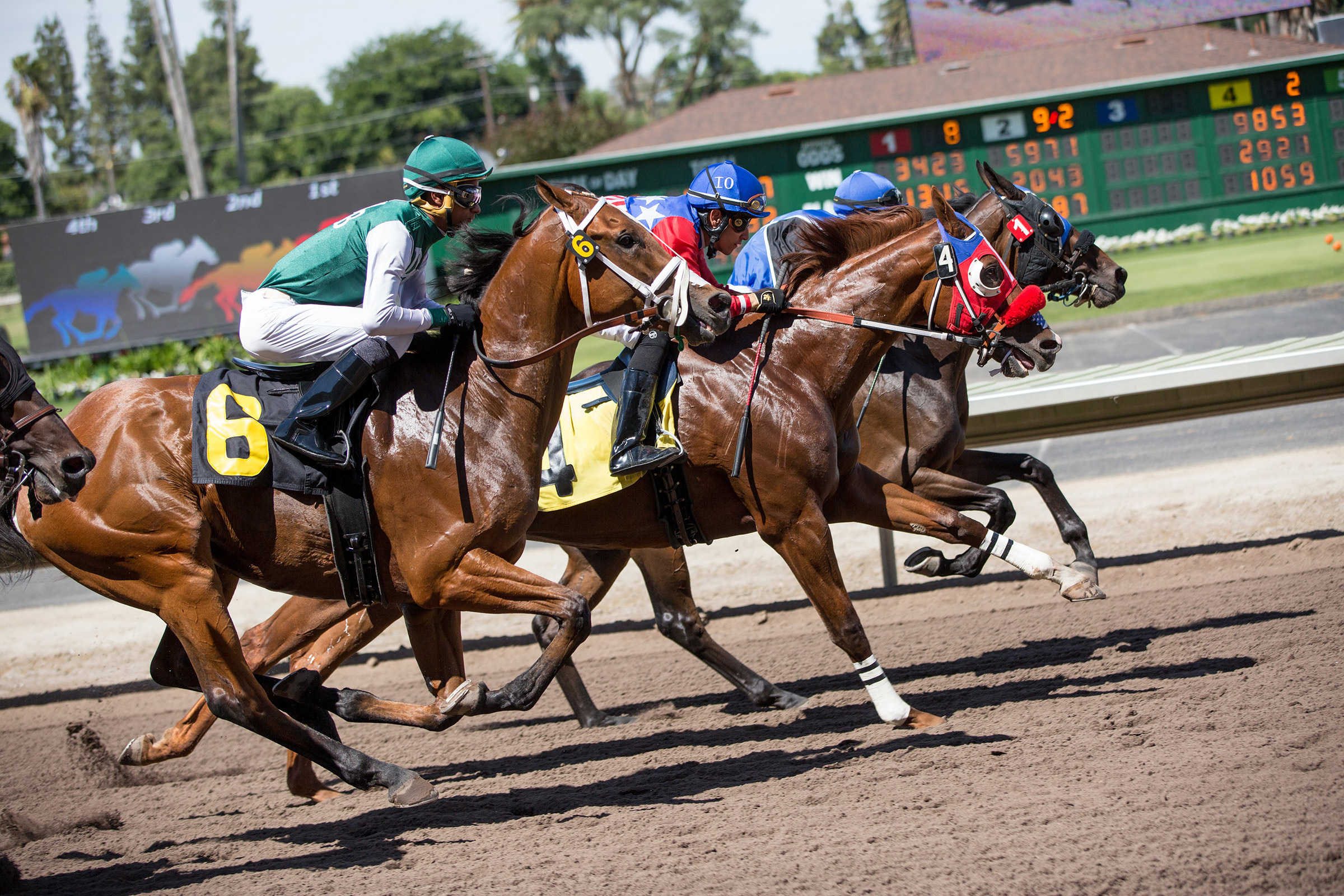 Betting on live races, Strategies and tips, Alameda County Fairgrounds, Exhilarating experience, 2400x1600 HD Desktop